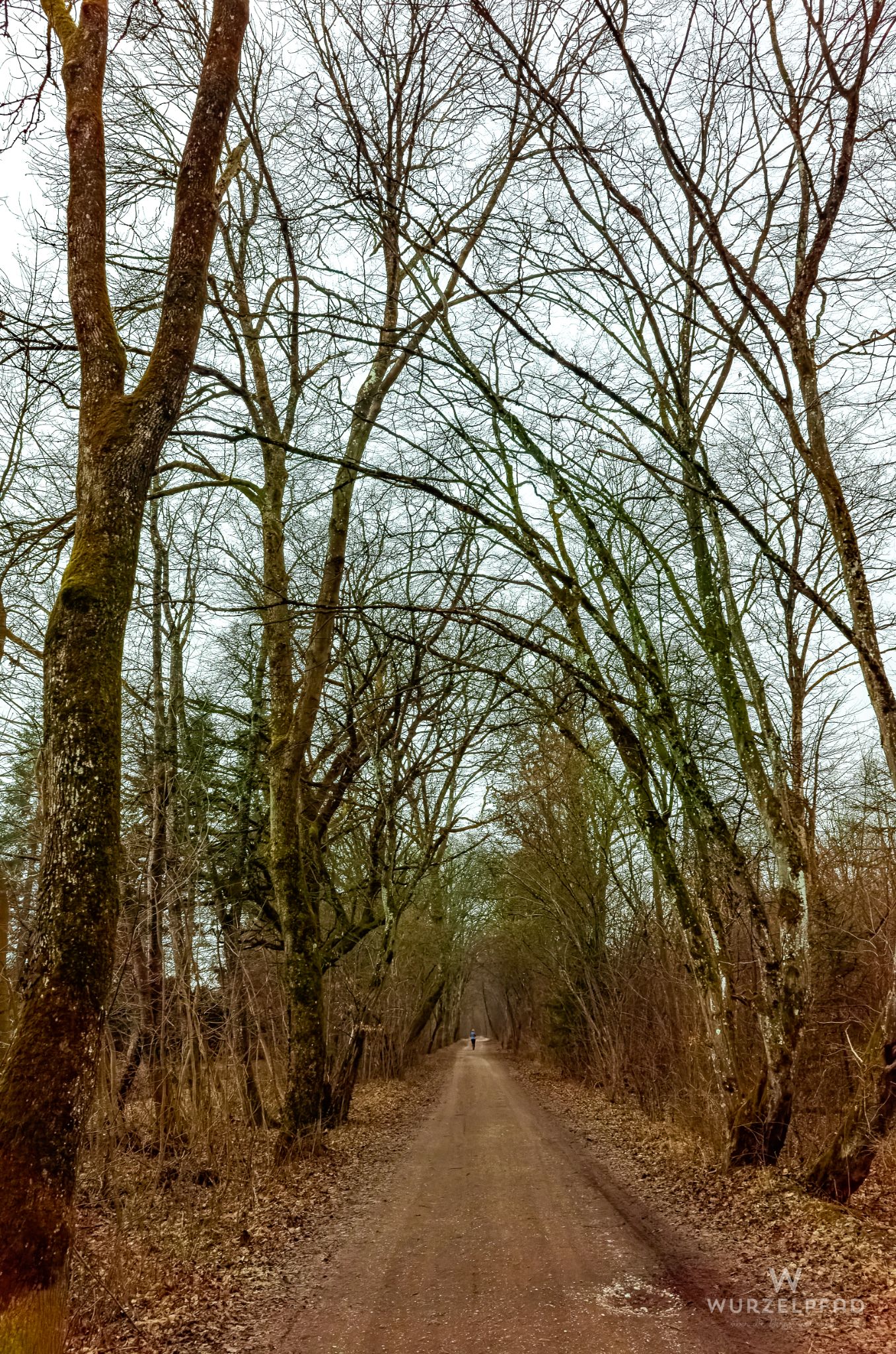 Morgenspaziergang in Deisenhofen