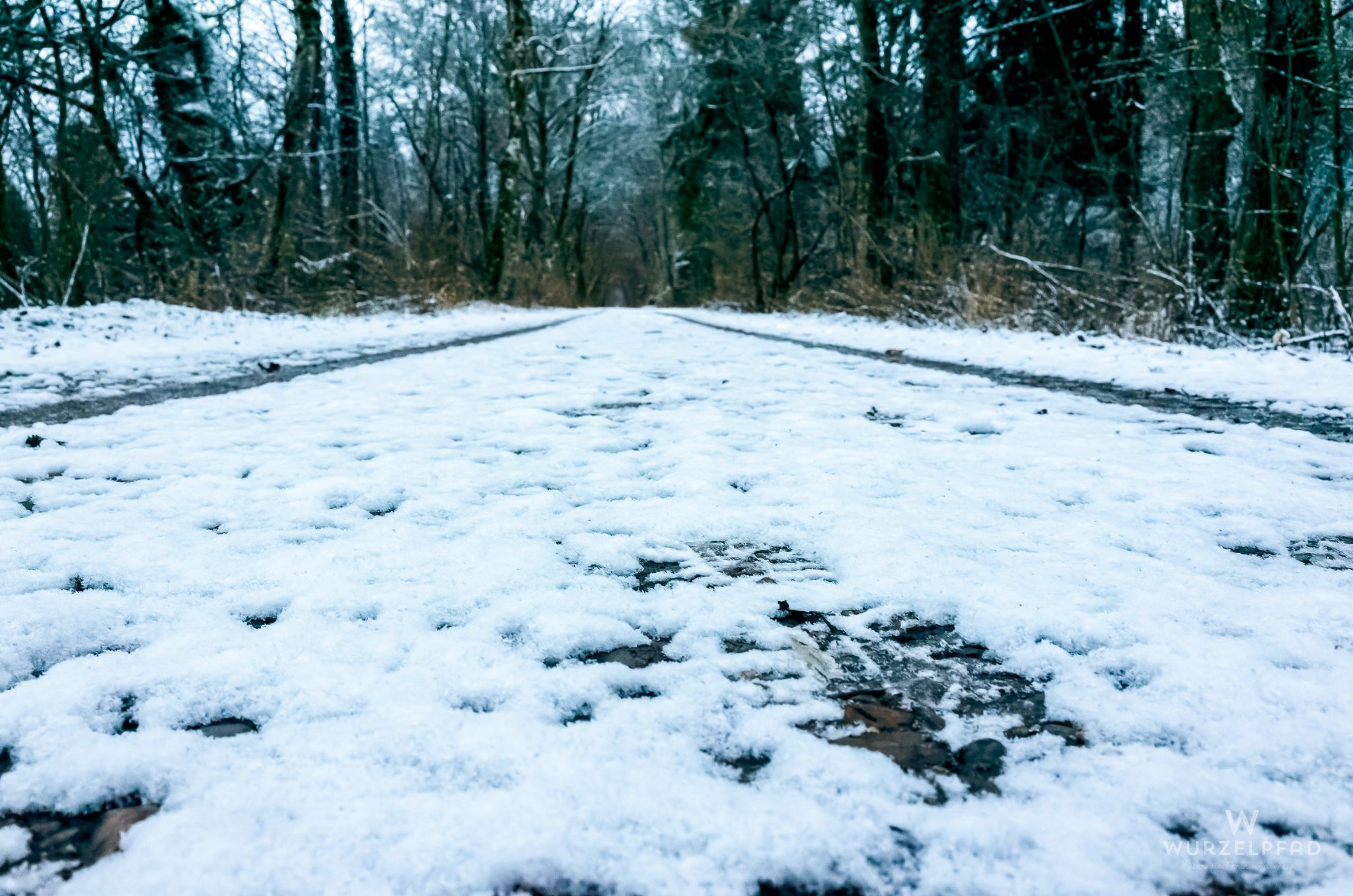 Morgenspaziergang in Deisenhofen