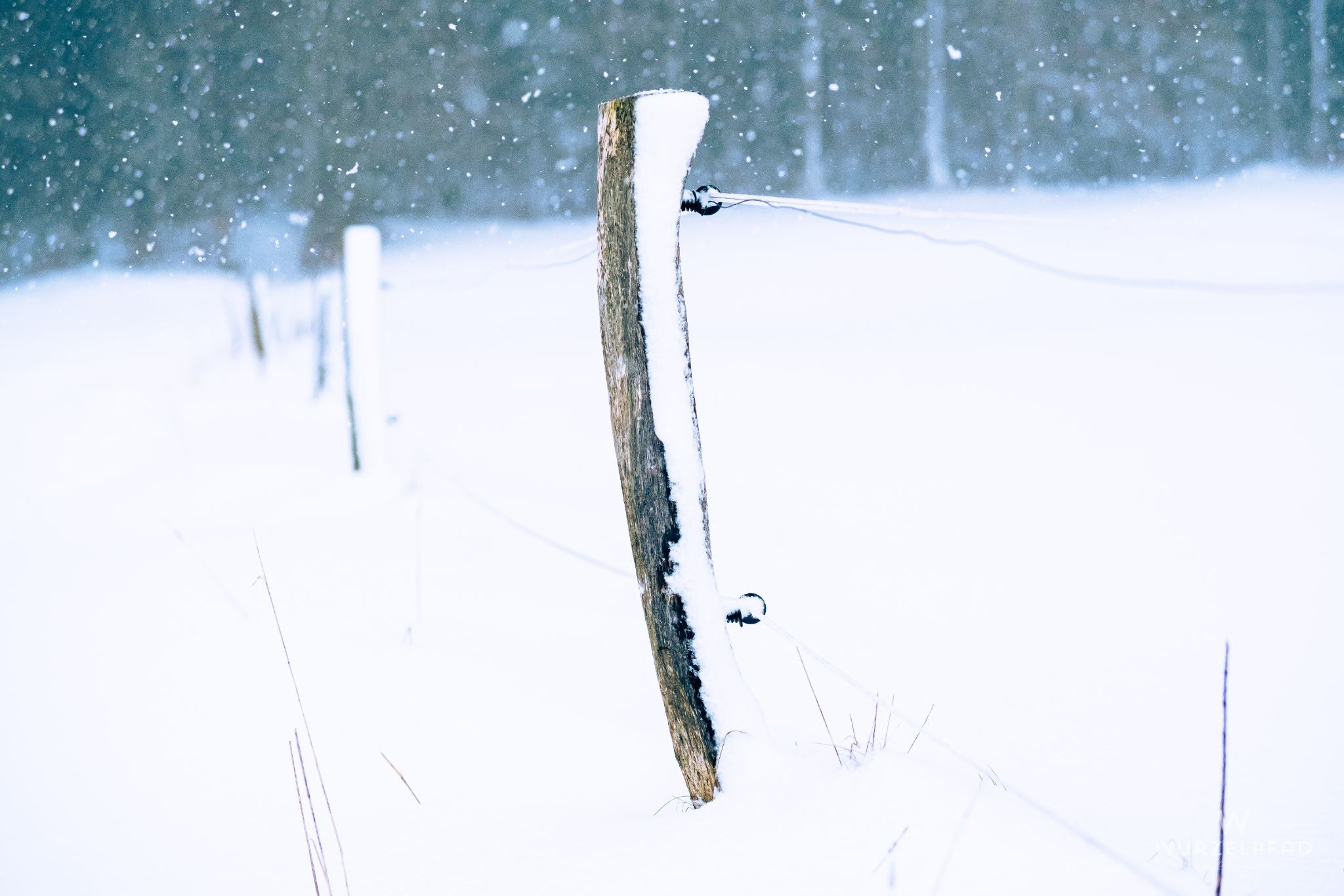 Zaunpfosten im Schneetreiben
