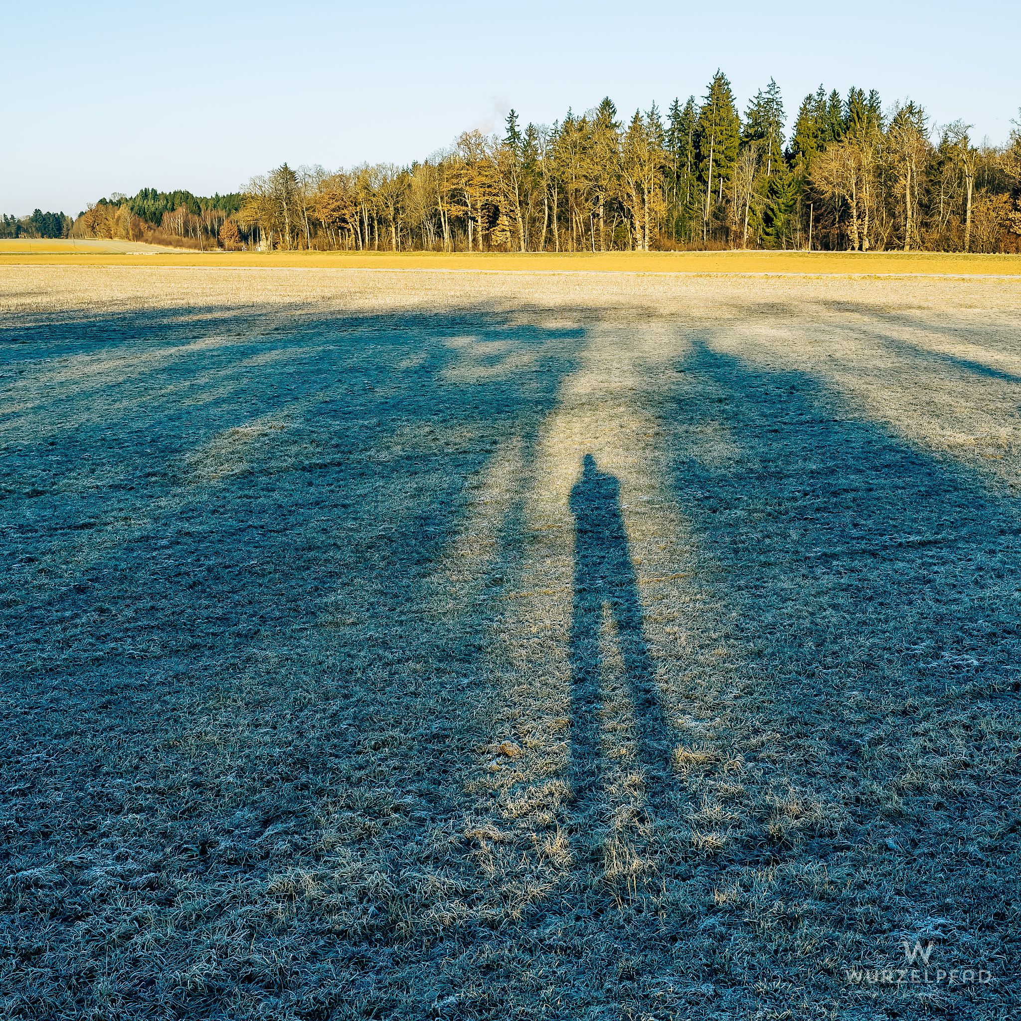 The Photographer Himself