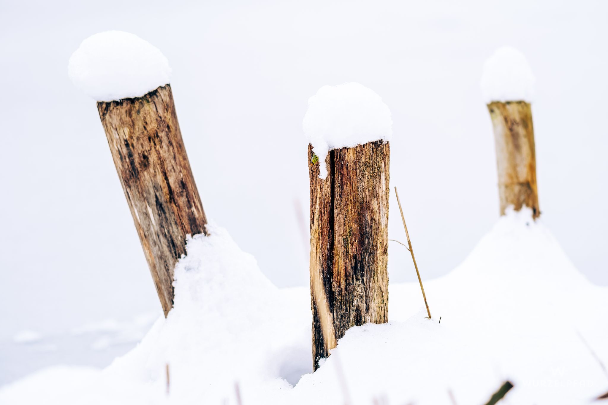 Stempen am Thanninger Weiher