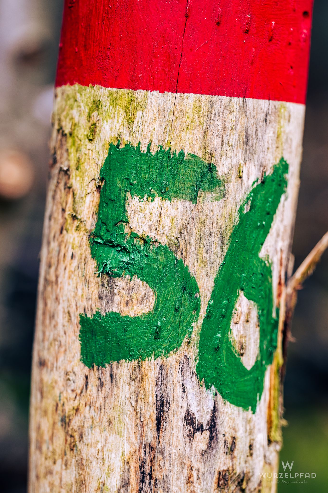 So, what's my age again?