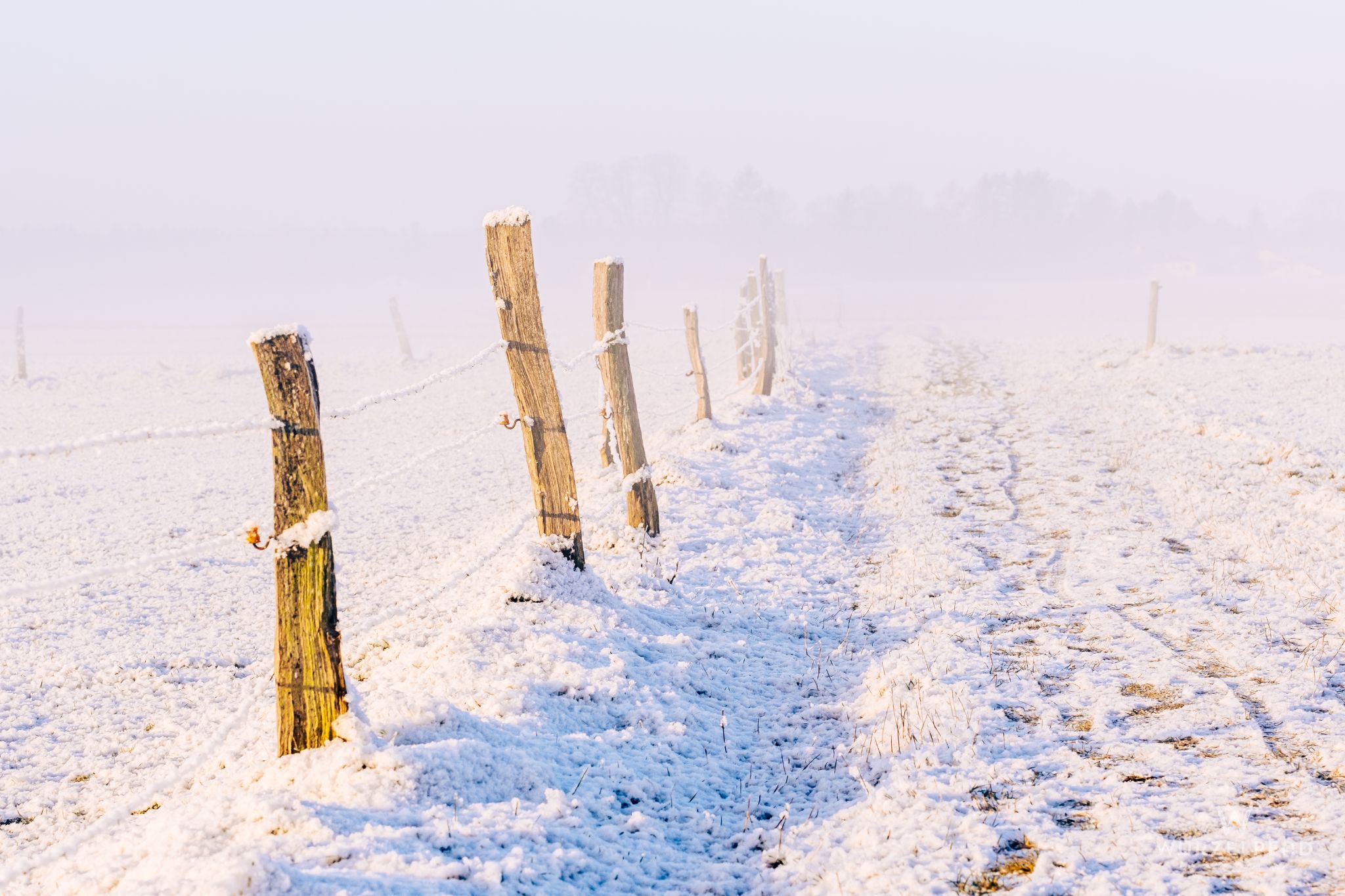Weidezaun im Morgennebel