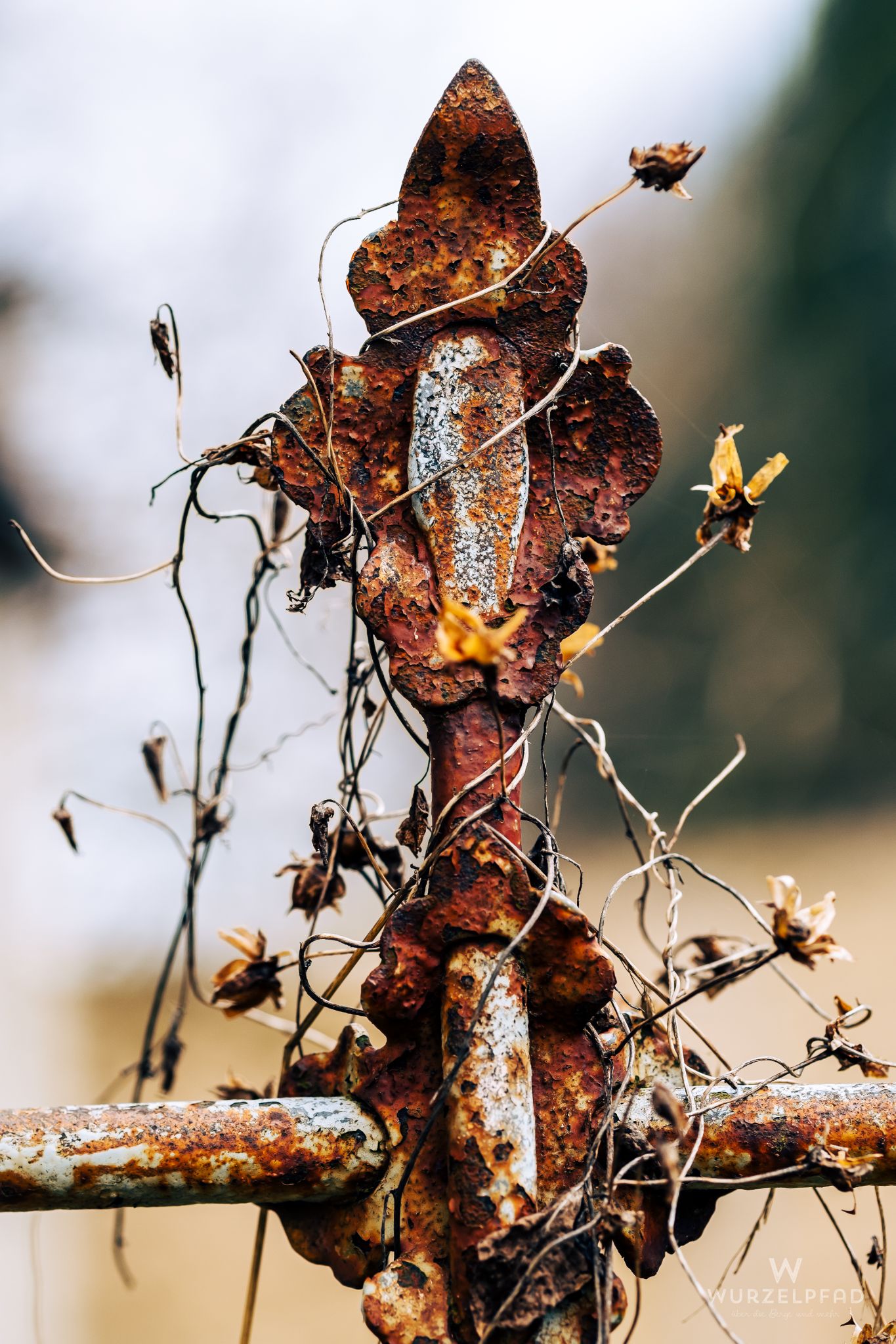 Altes Friedhofstor - Detail