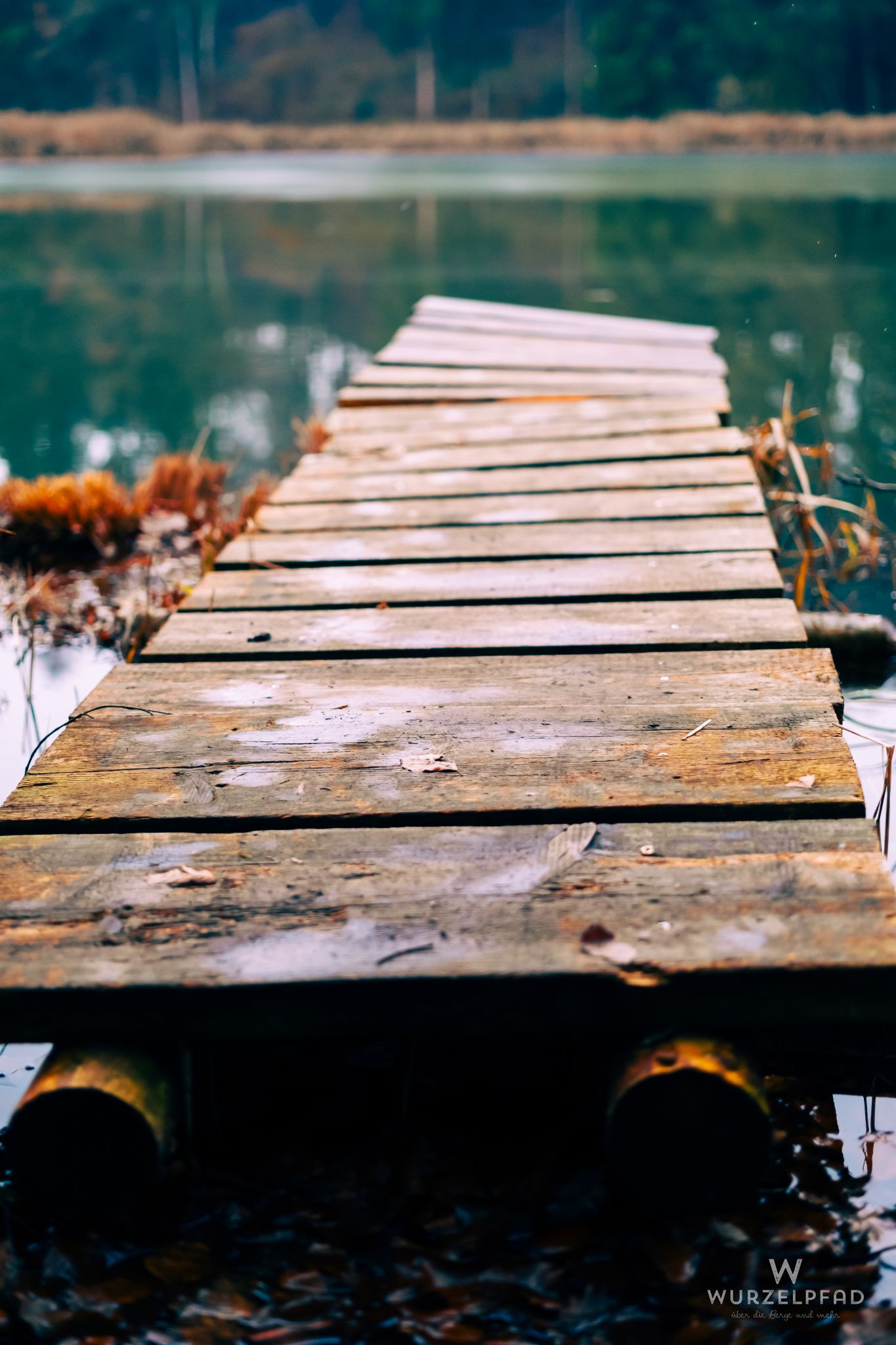 Halb-verfallener Steg in den Thanninger Weiher