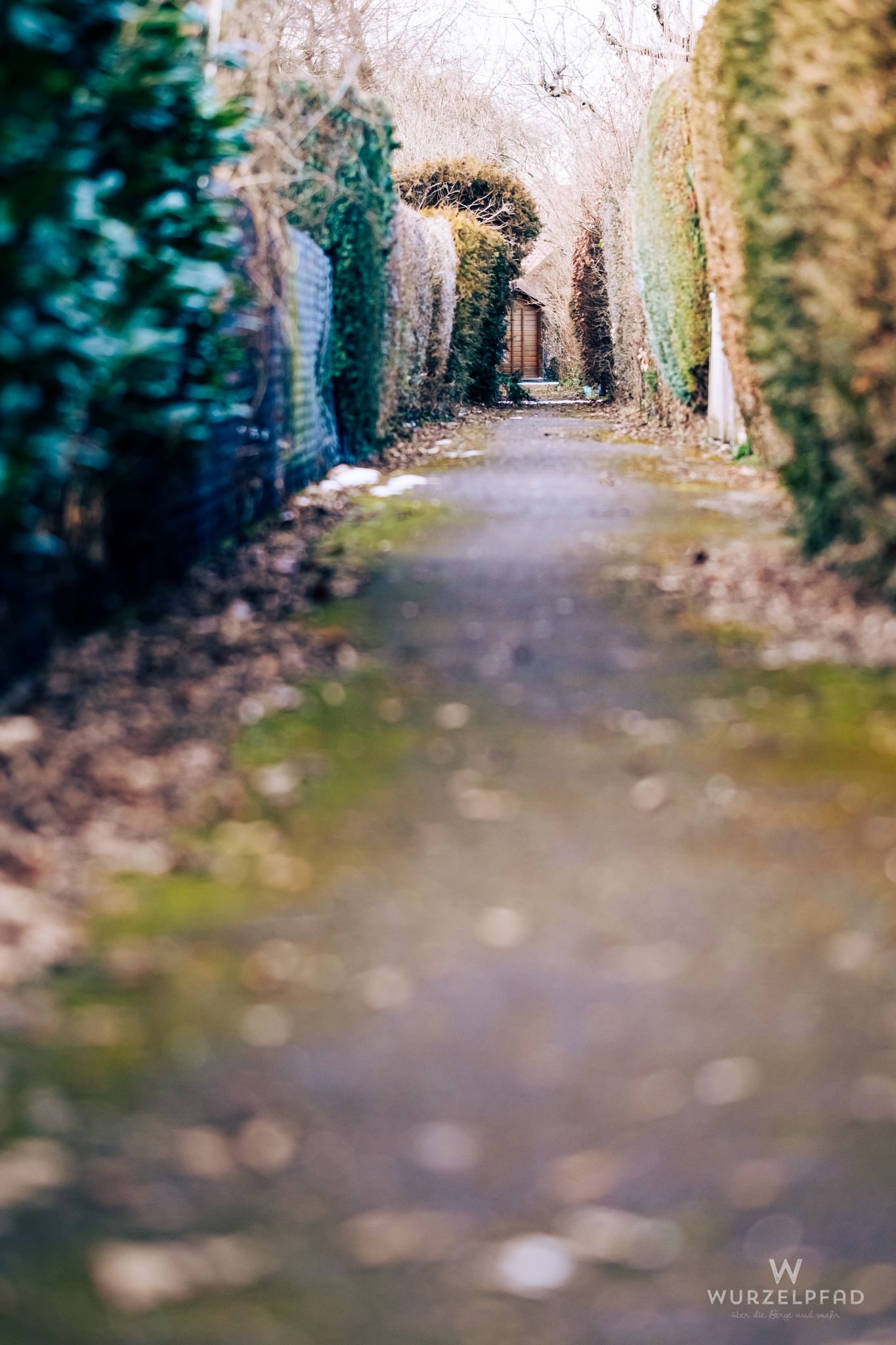 Gartenhäuschen, suggestiv