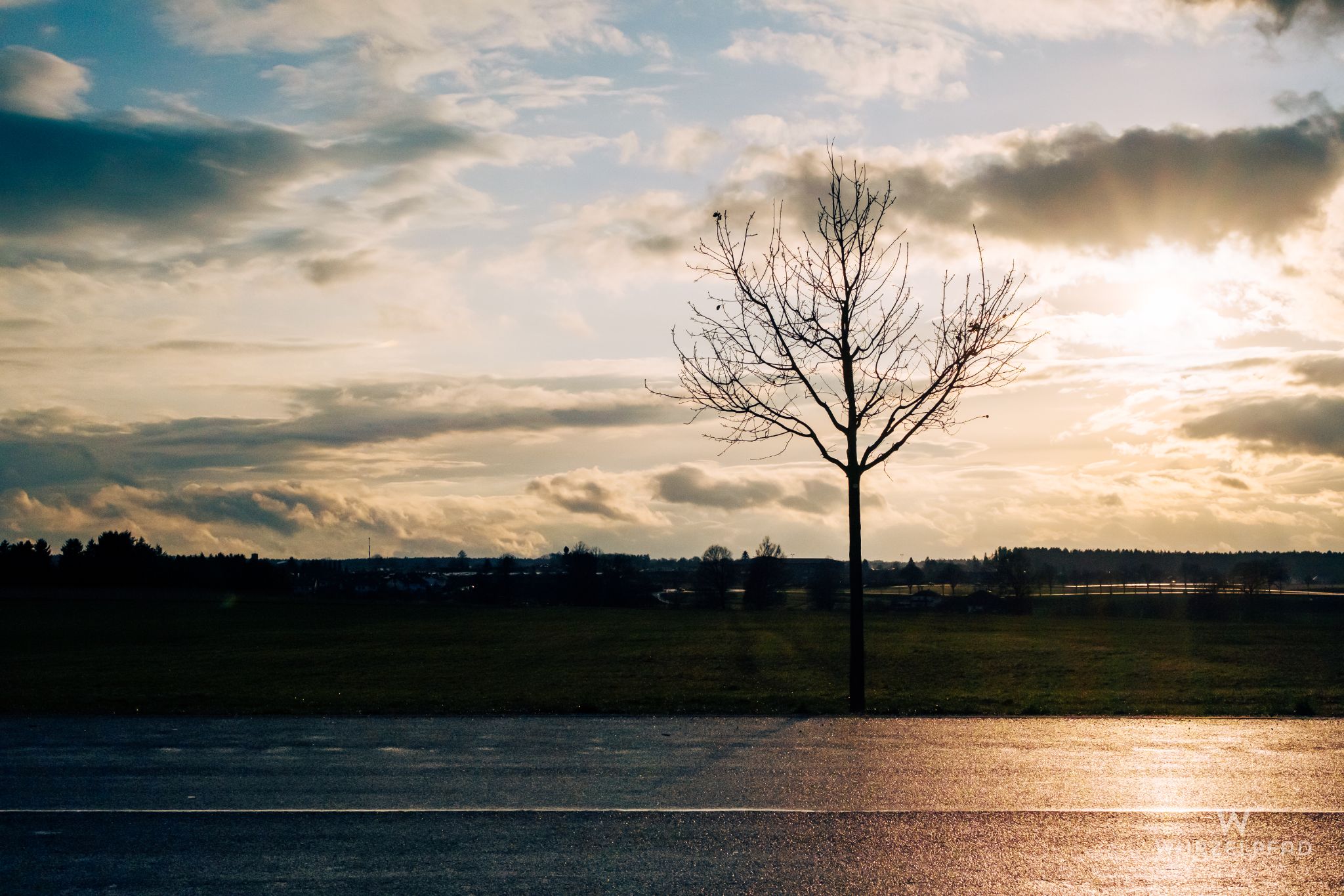 Blick von Föching nach Süden