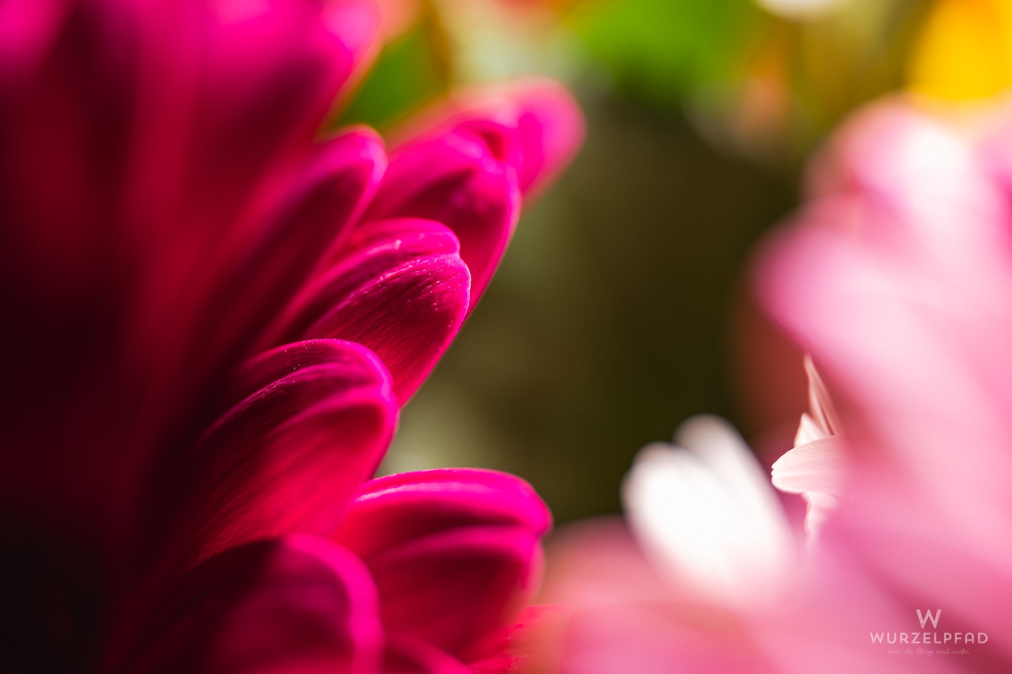 Blumenstrauss, Detail