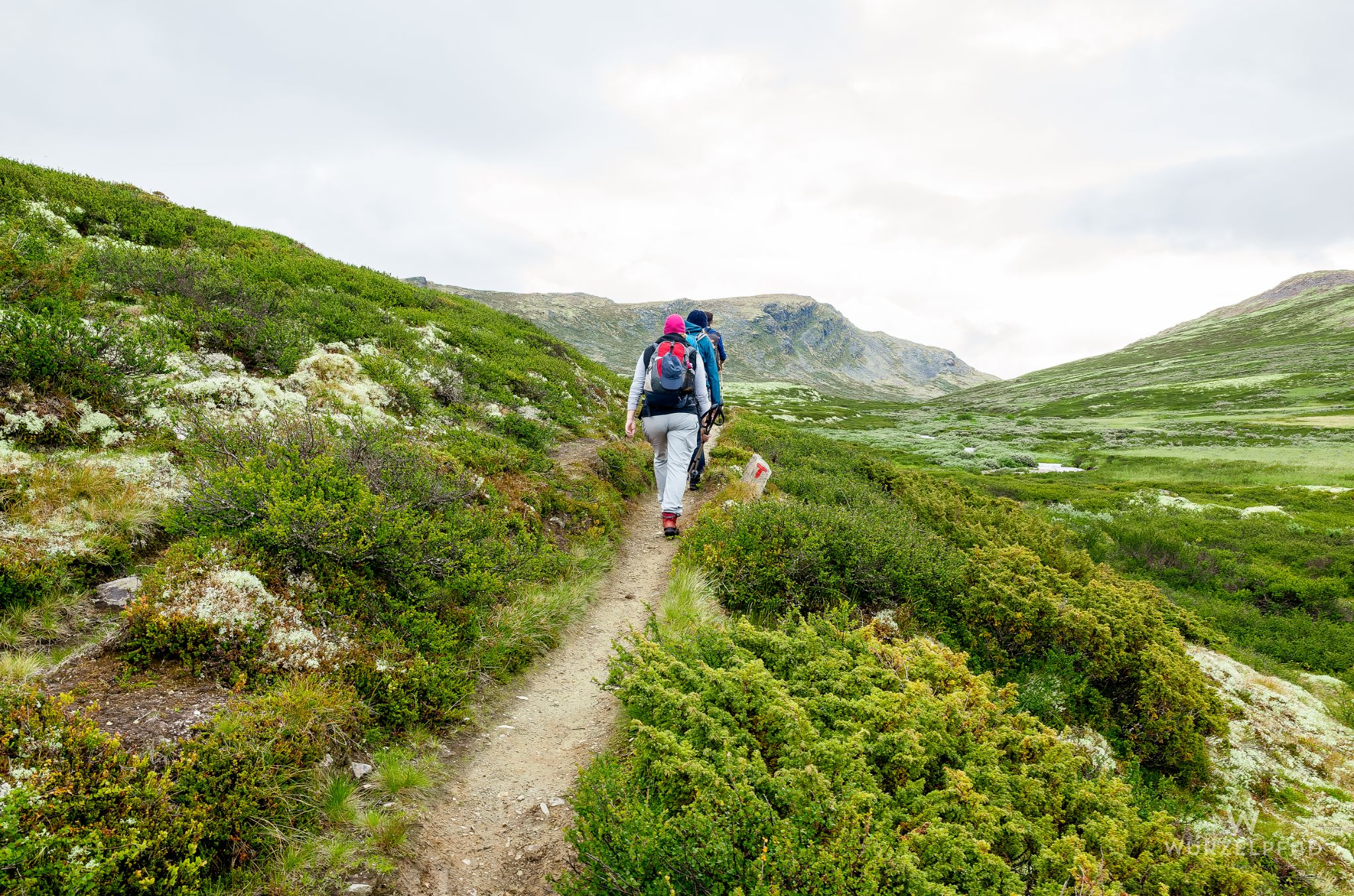 Unterwegs zur Peer-Gynt-Hütte im  Rondane-Nationalpark