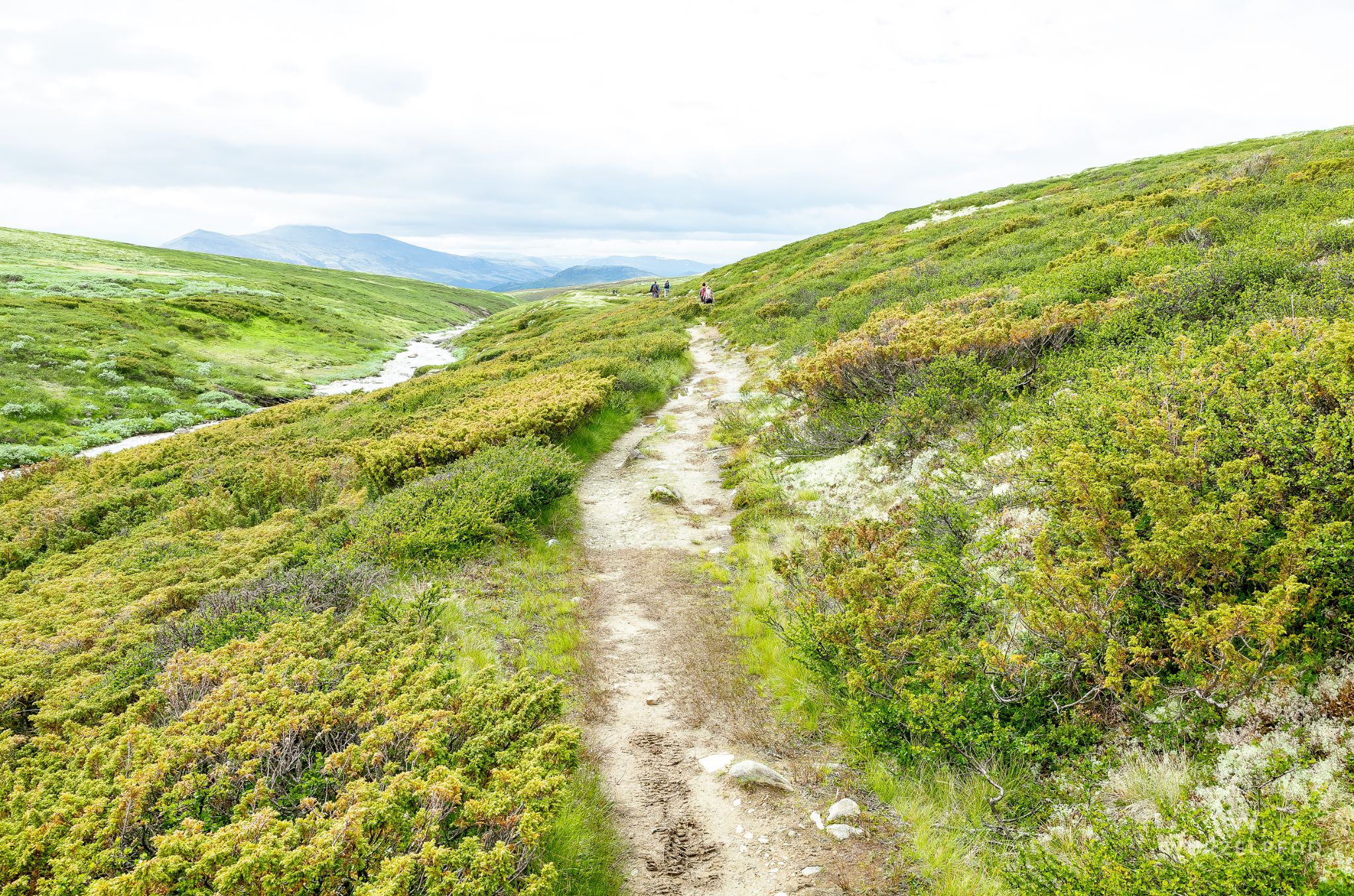 Unterwegs zur Peer-Gynt-Hütte im  Rondane-Nationalpark