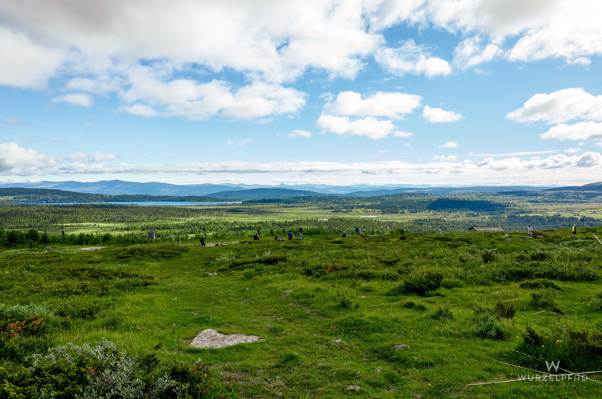 Blick über's weite Land zum Feforsee