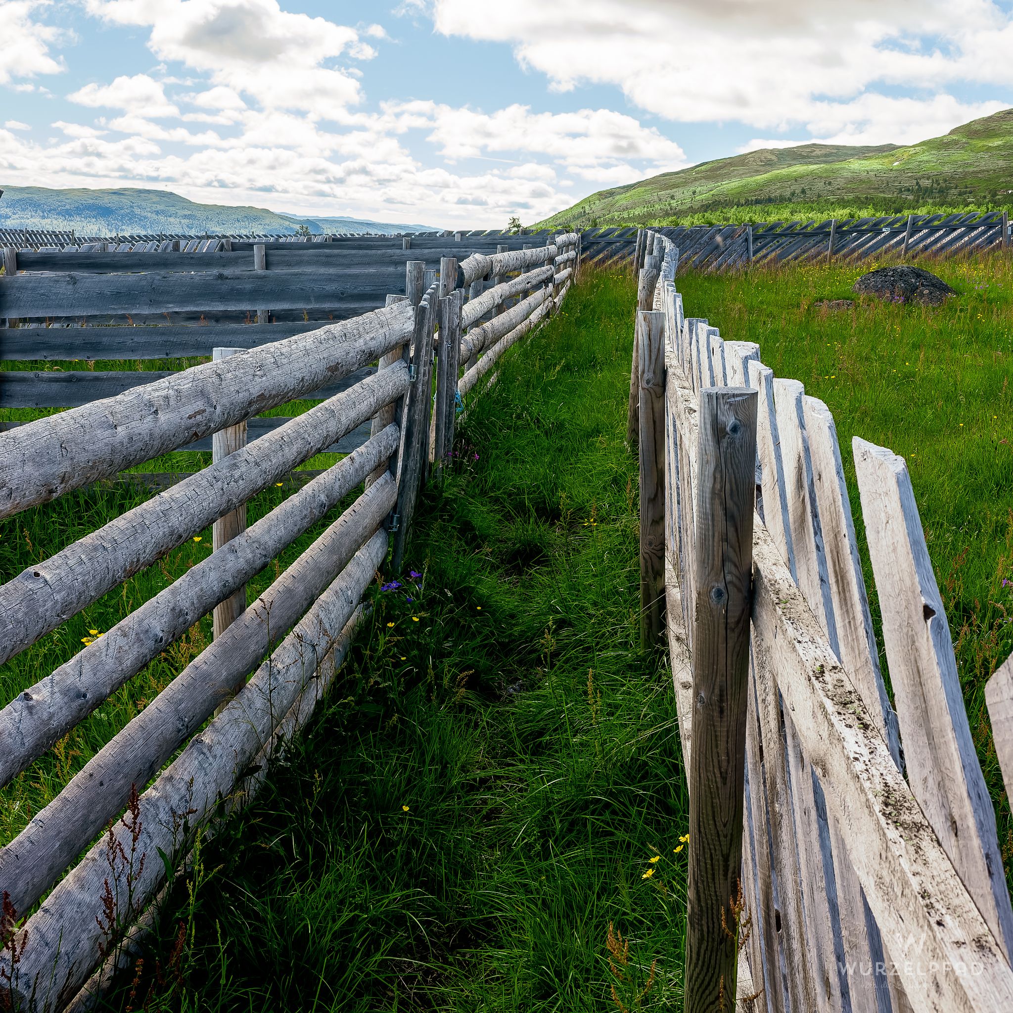Durch diese Gasse muss er kommen...
