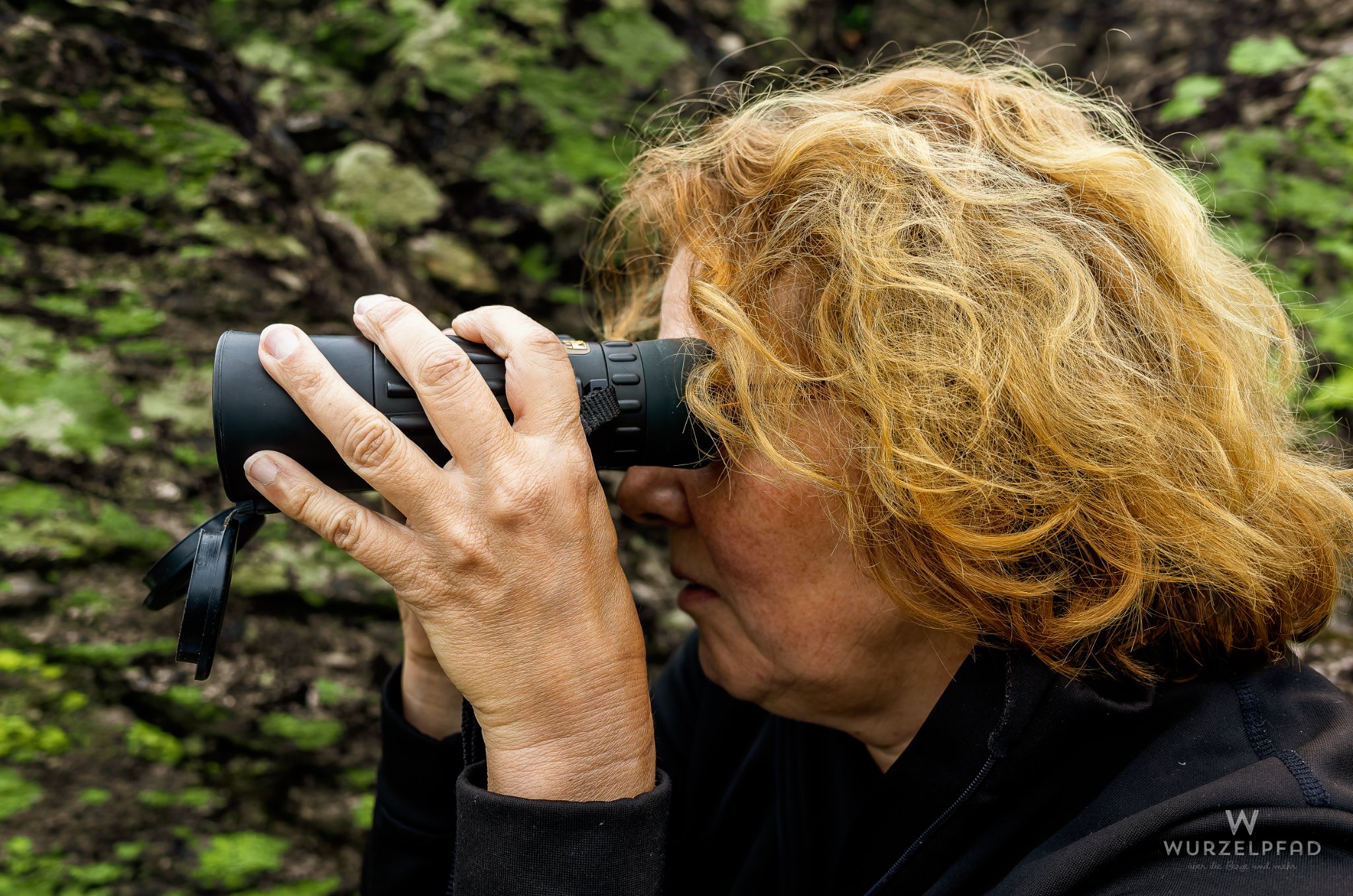 Orientierungsversuche