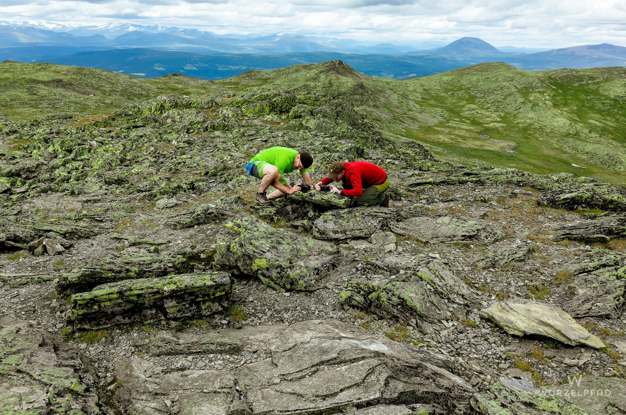 Auch die Flechte wird verewigt