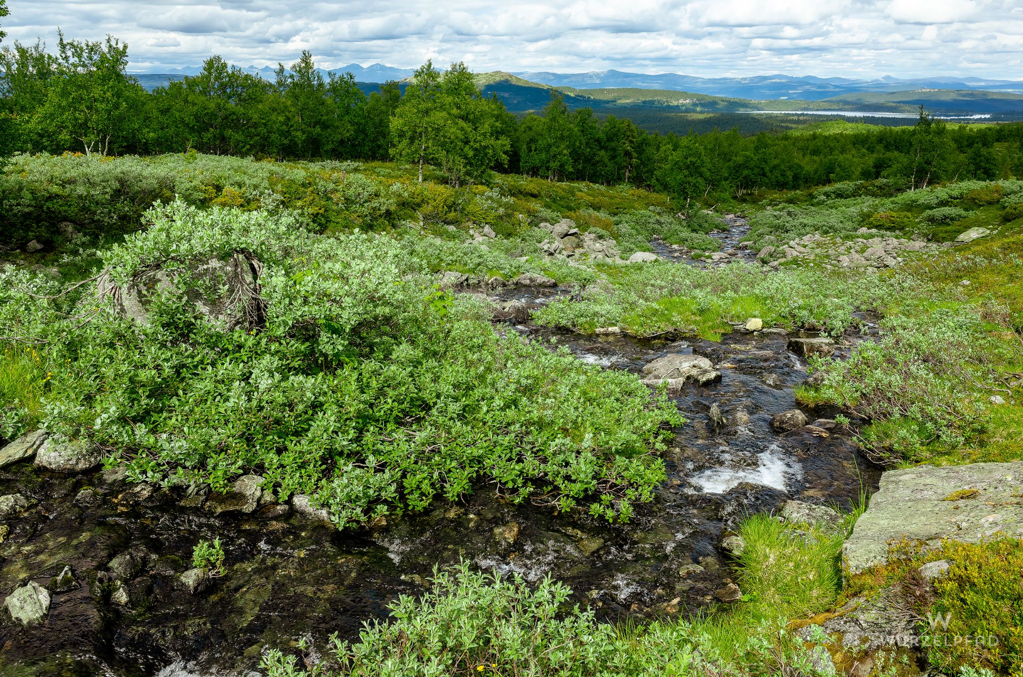 Nochmal weiter unten