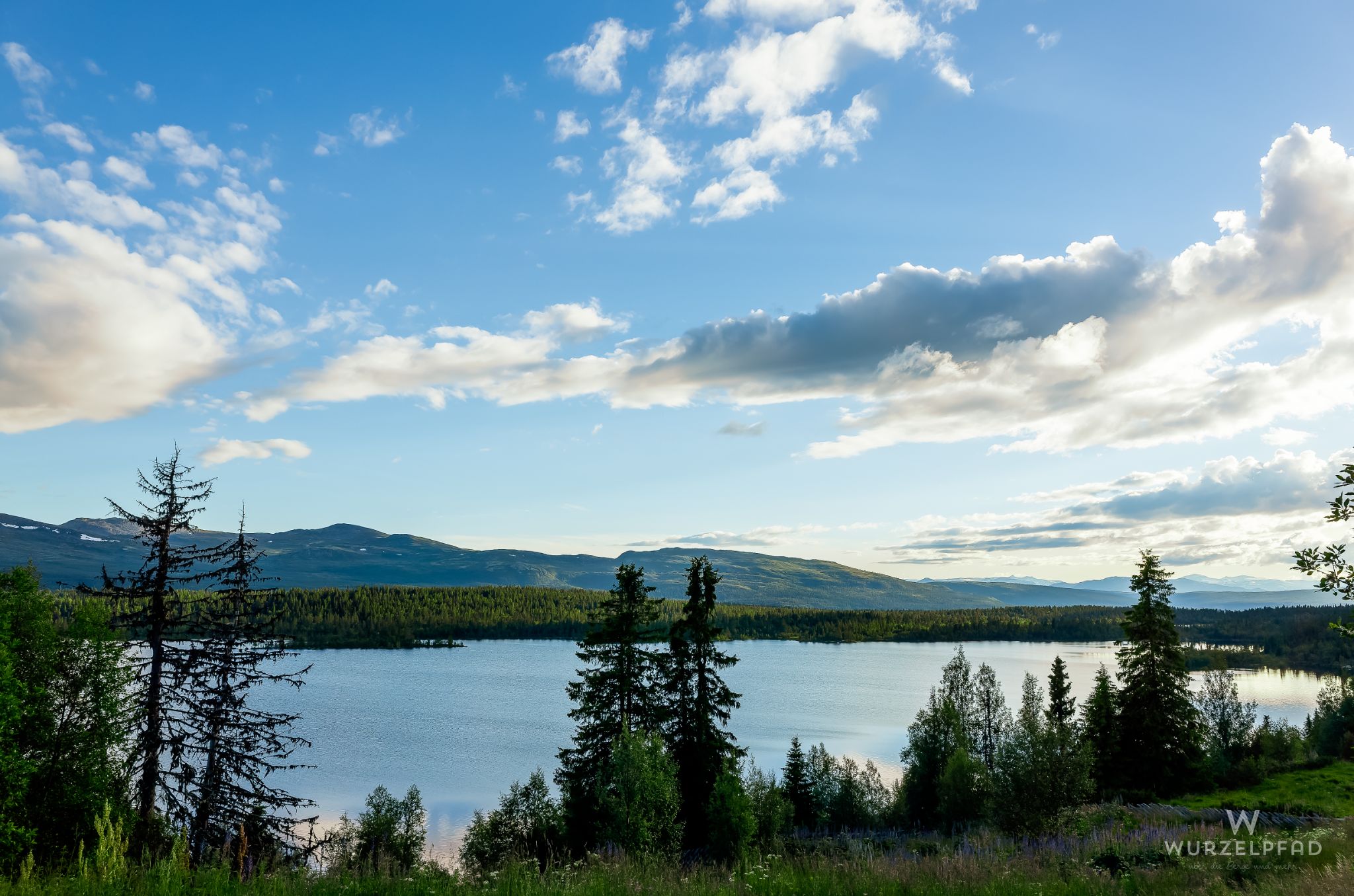 Blick vom Hotel über den Feforsee