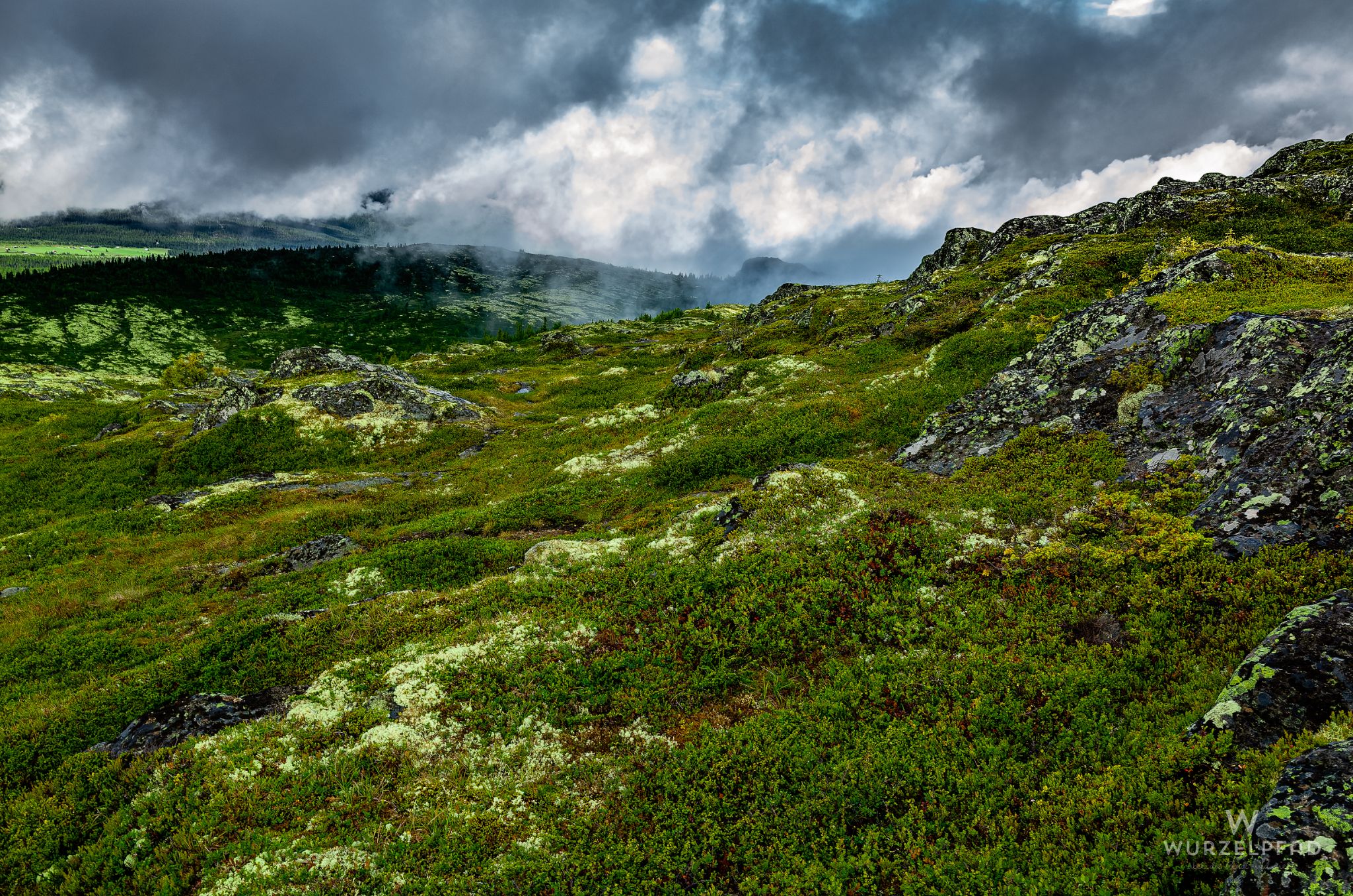 Unterwegs zum Feforkampen