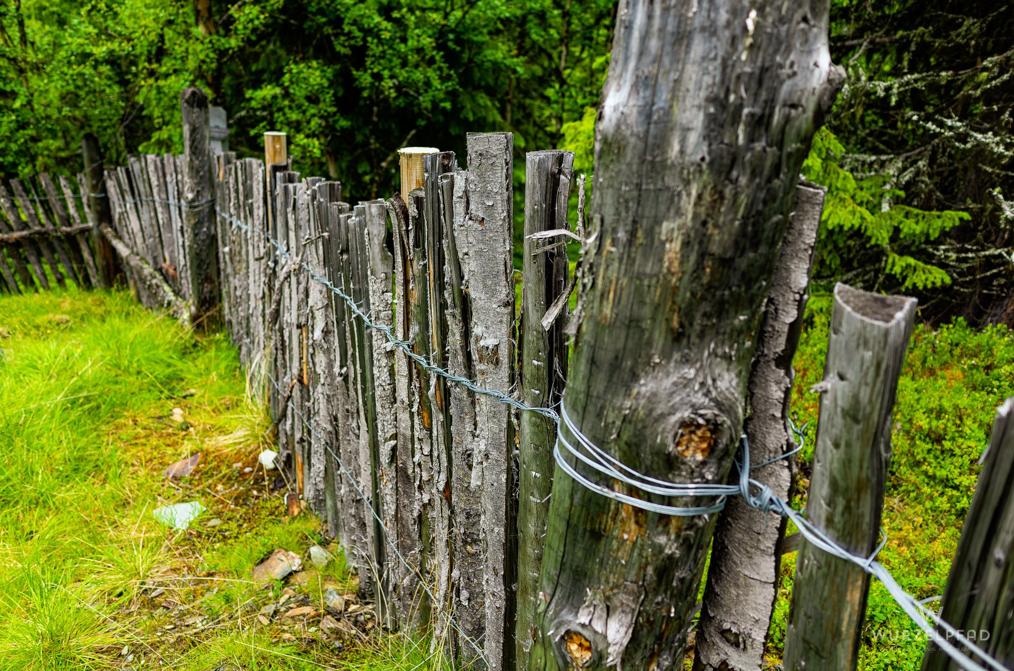 Unterwegs zum Feforkampen