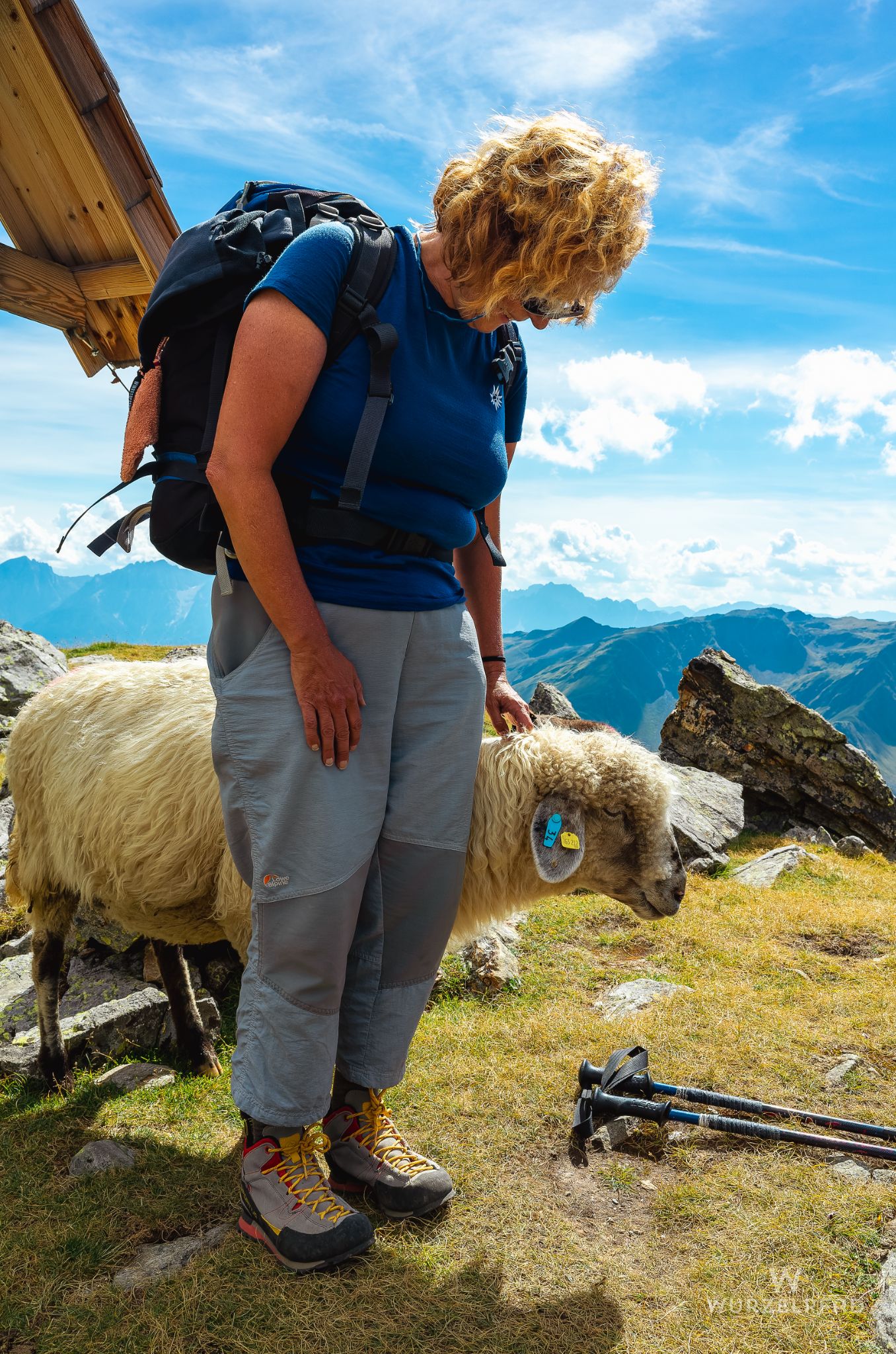 unser neues Haustier