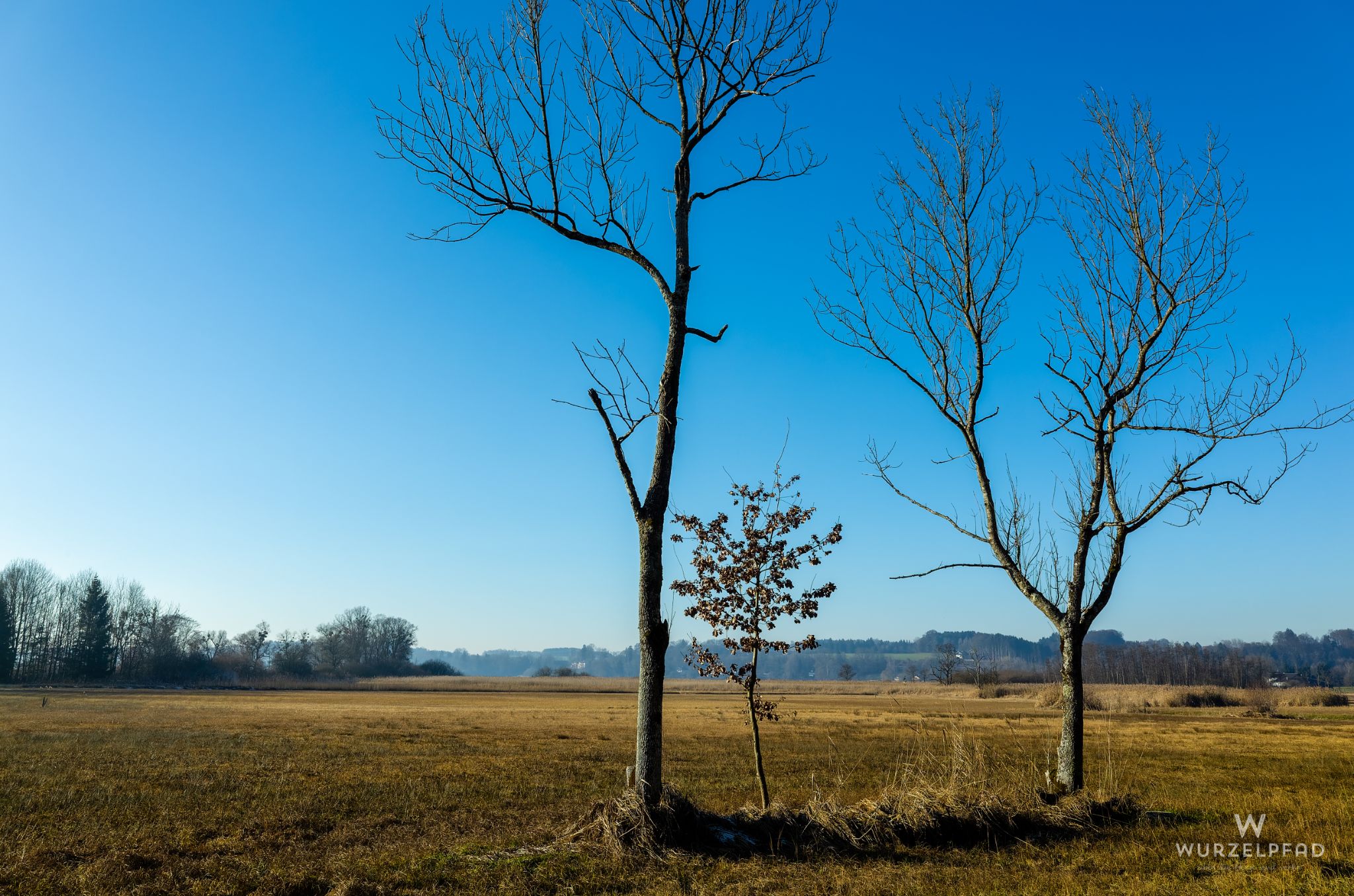Reiherland im Norden