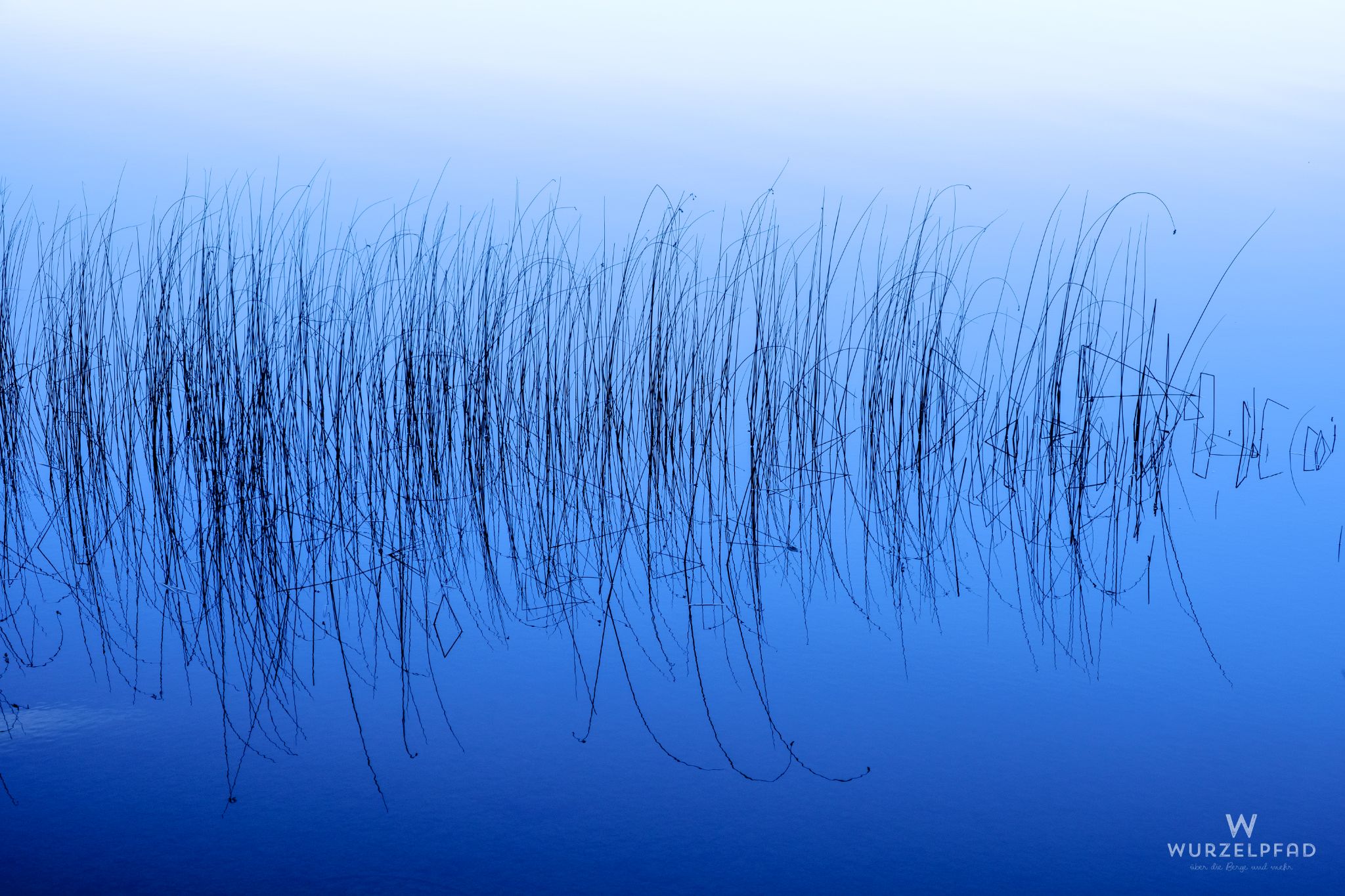 Unternehmungen in 2020