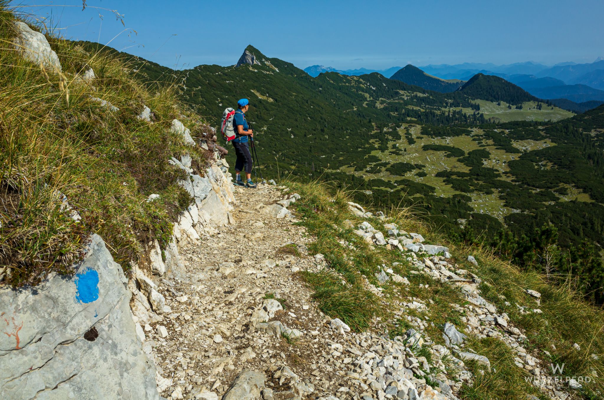 Blick über's Michelfeld