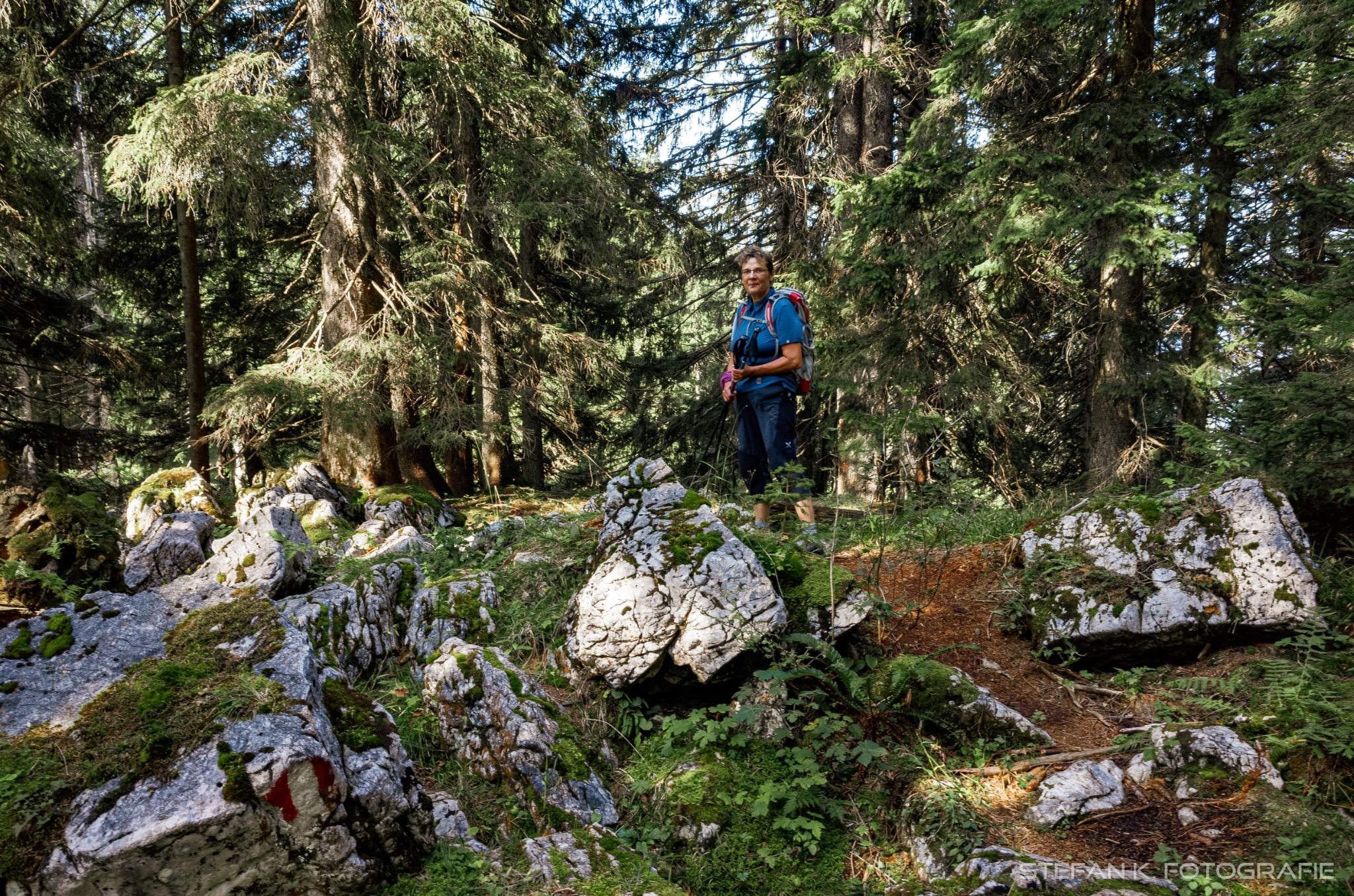Ein Mädlein steht im Walde