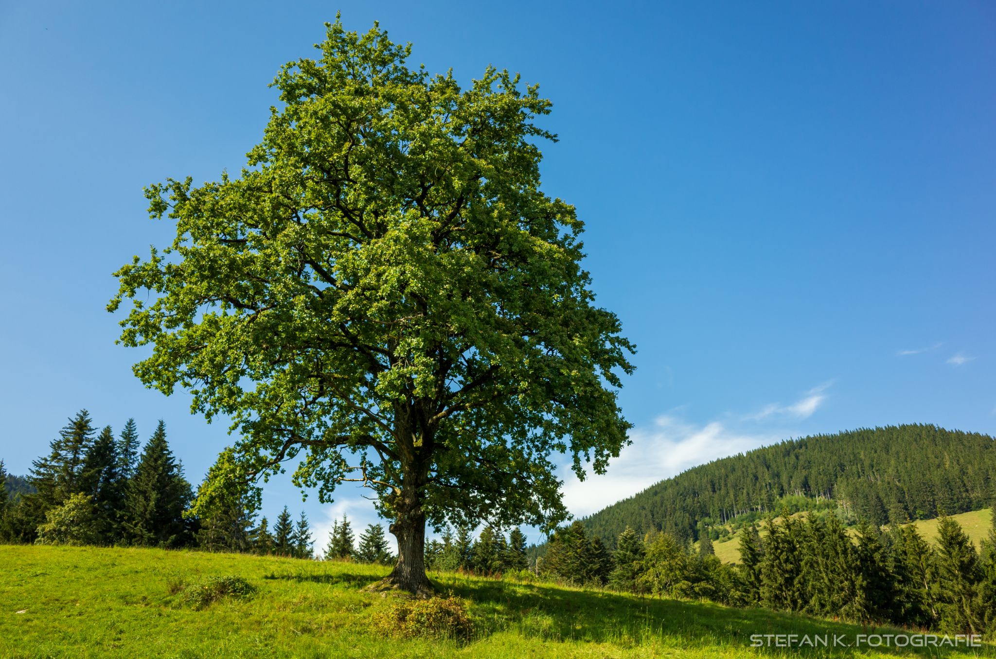 Kurz nach dem Aufbruch