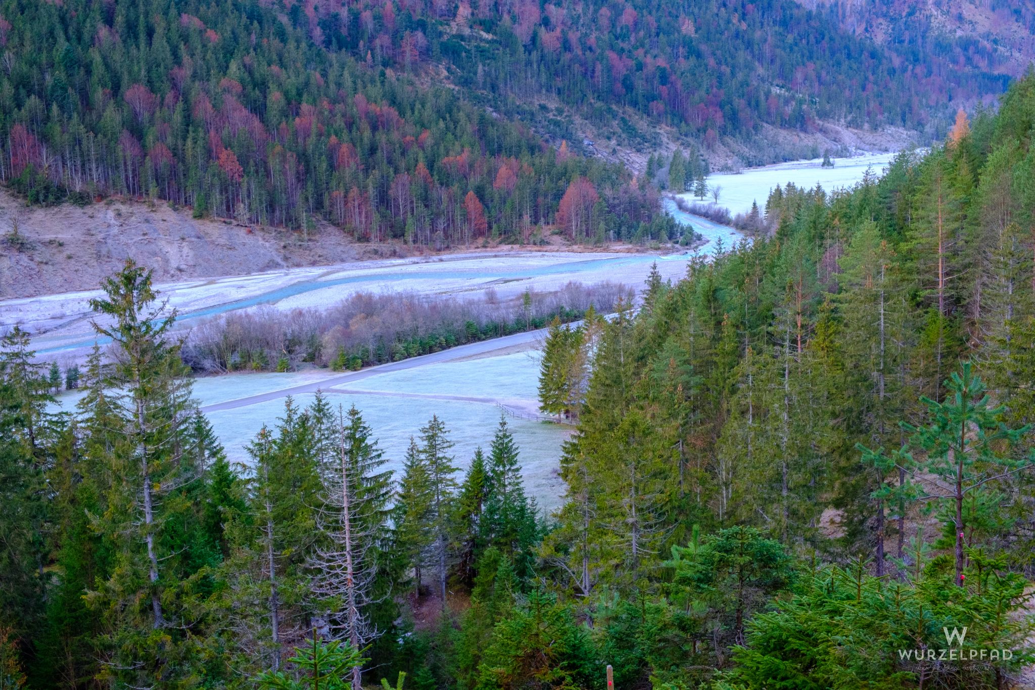 Überreifte Wiesen am Rißbach