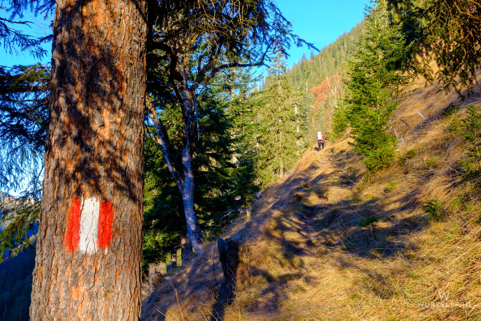 Anstieg in der Morgensonne