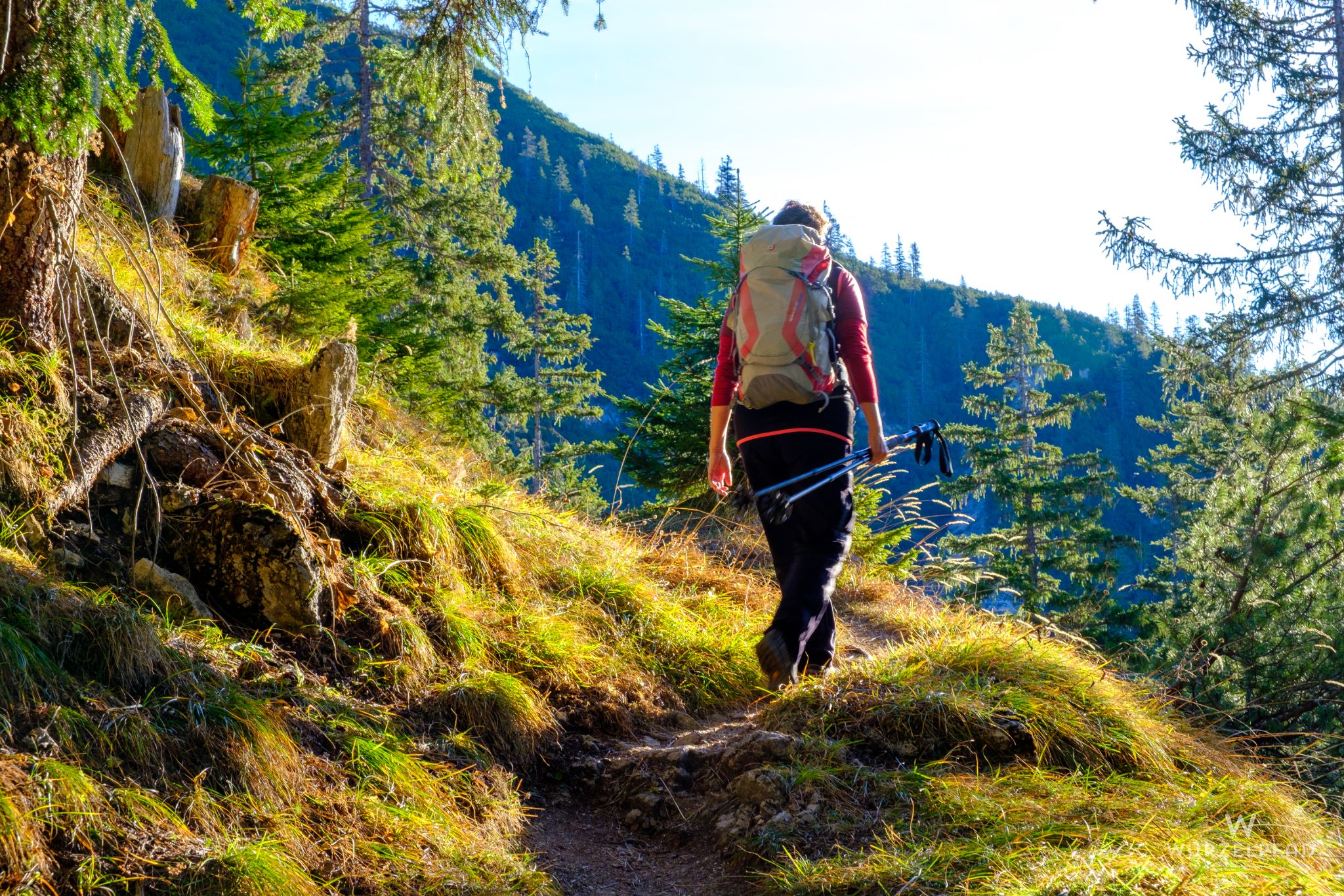 In gemütlichen Kehren geht's dahin