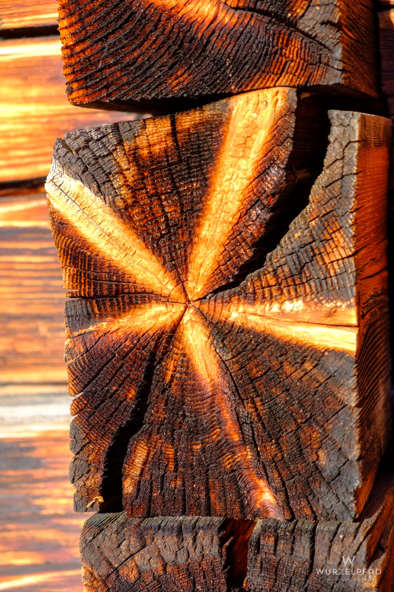 Brandzeichnung an der Jagdhütte