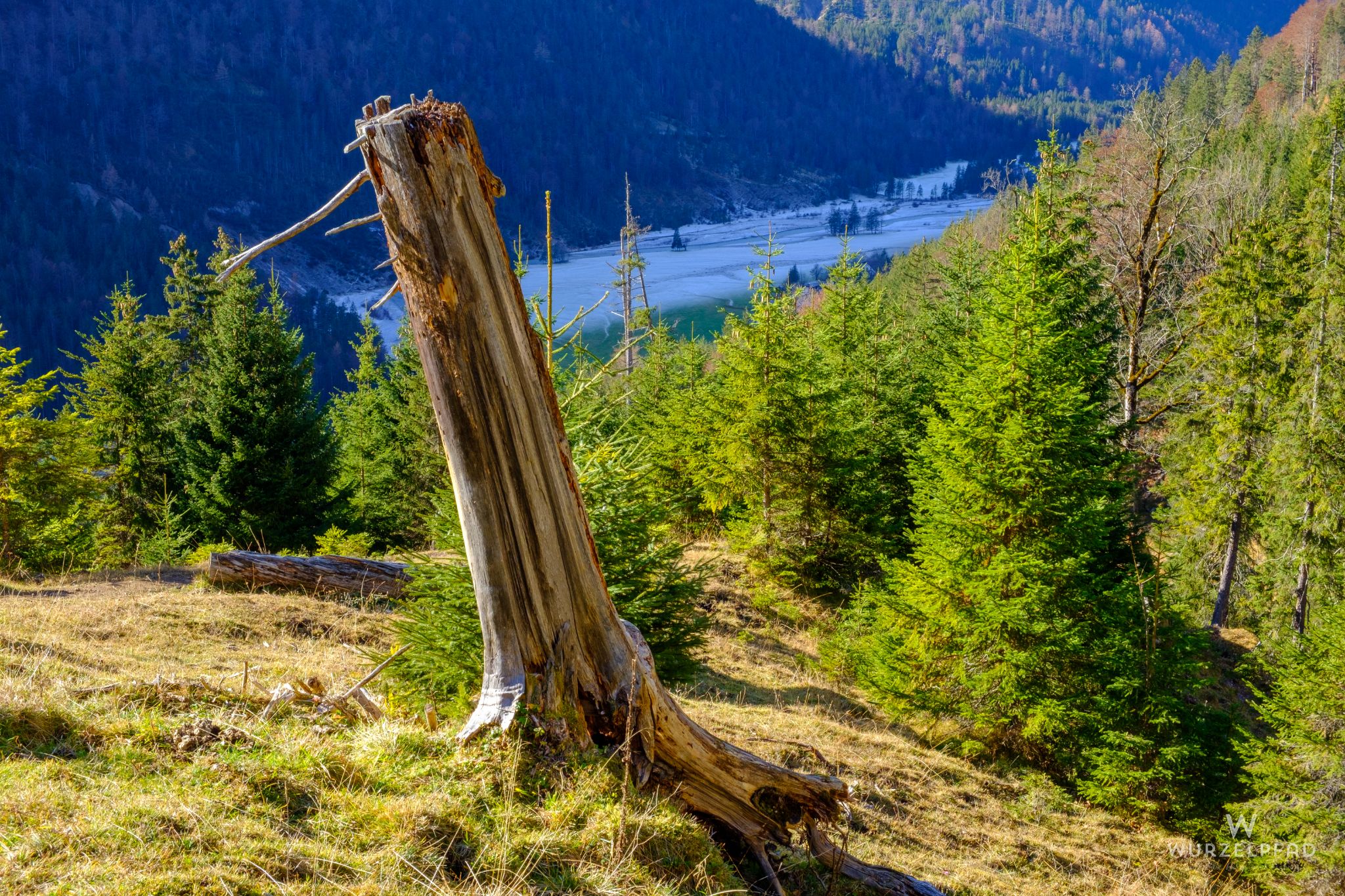 Der kühle Talboden voraus