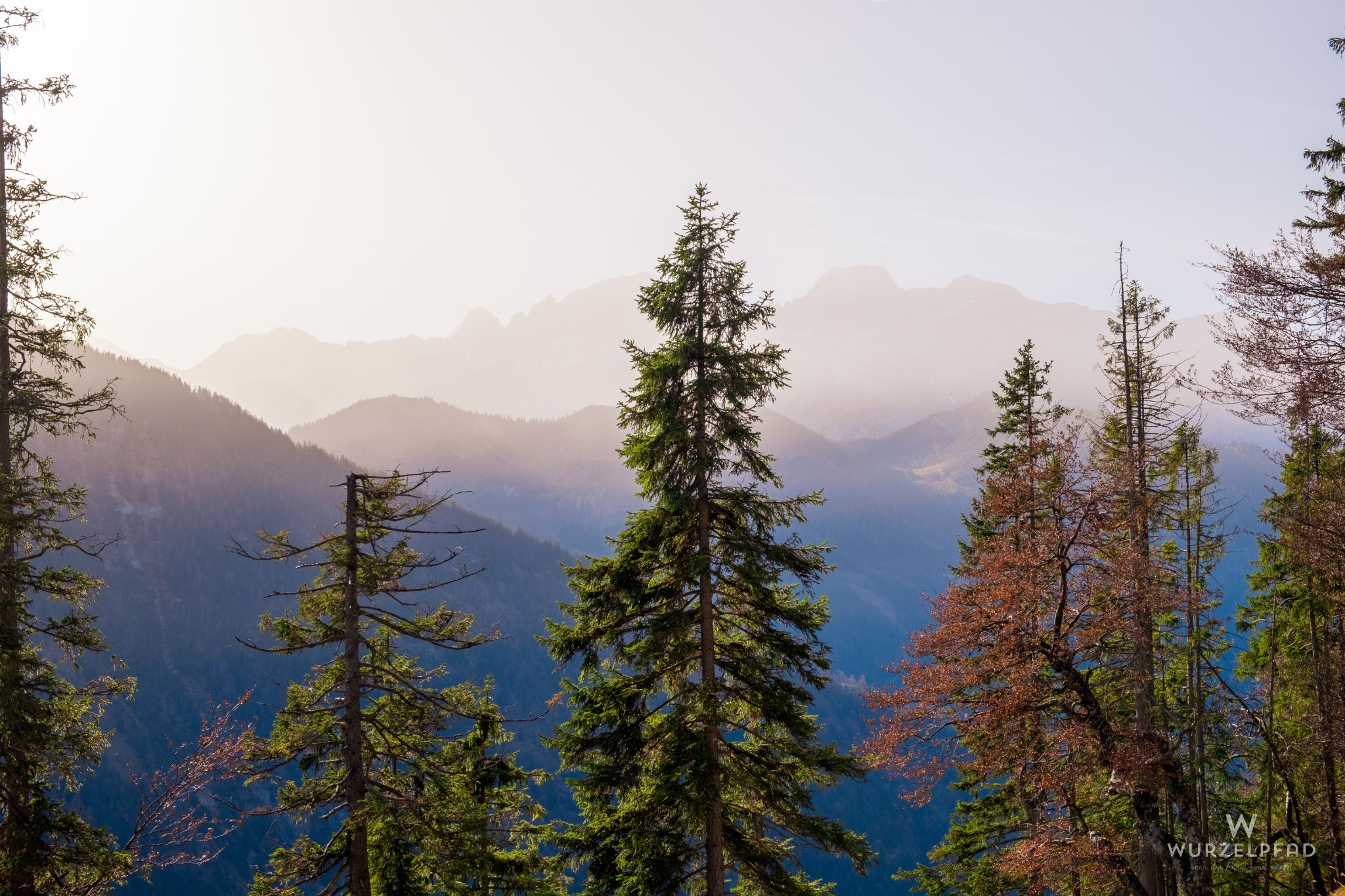 Blick zur Nördlichen Karwendelkette