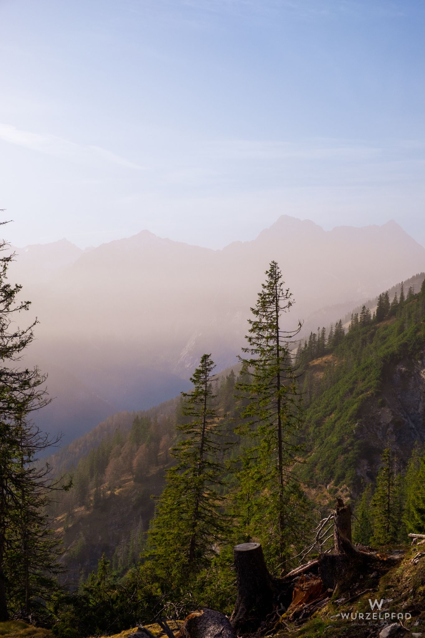 Stimmungsvoller Hochnebel