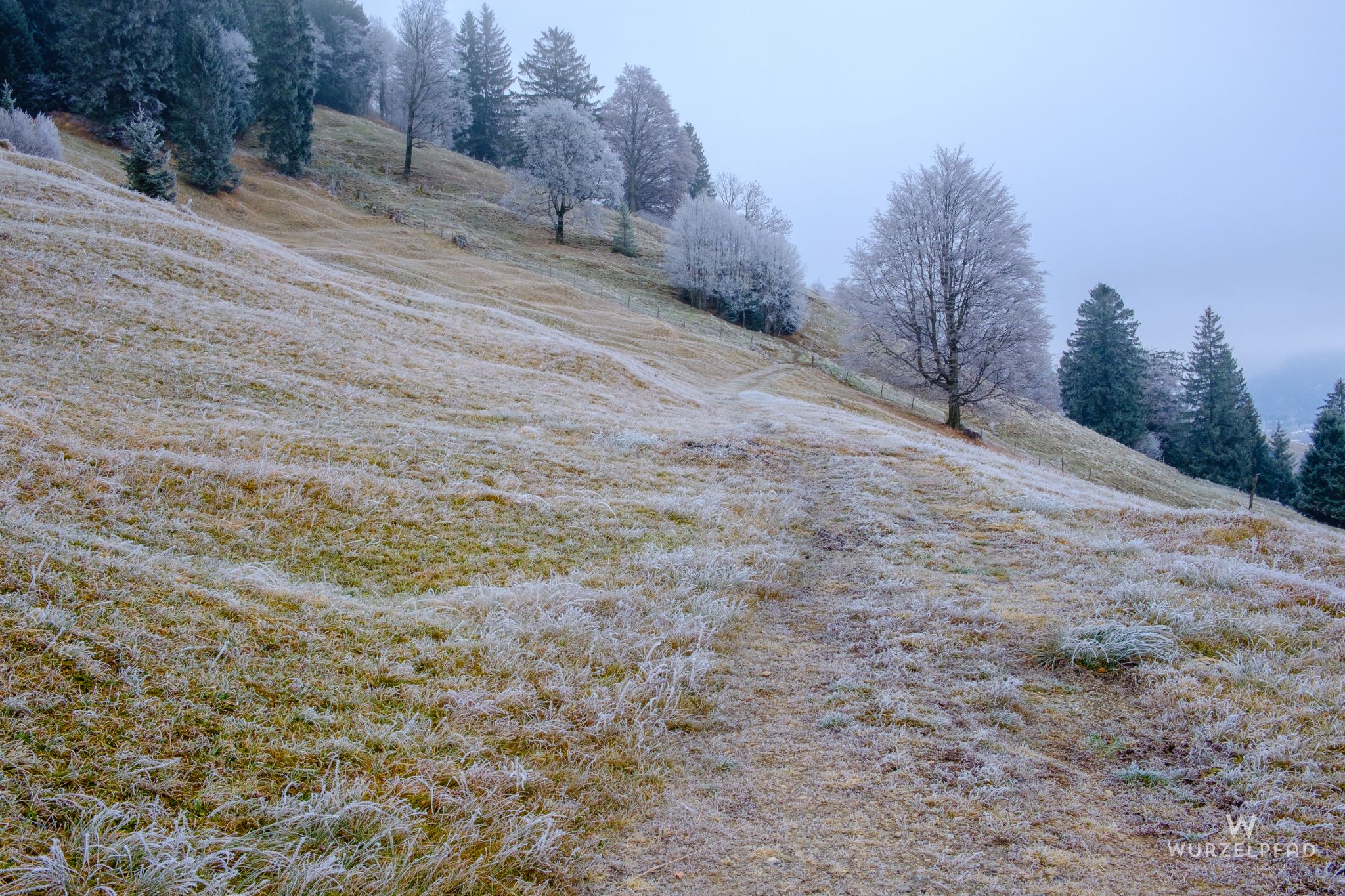 Stimmungsvoller Abstieg