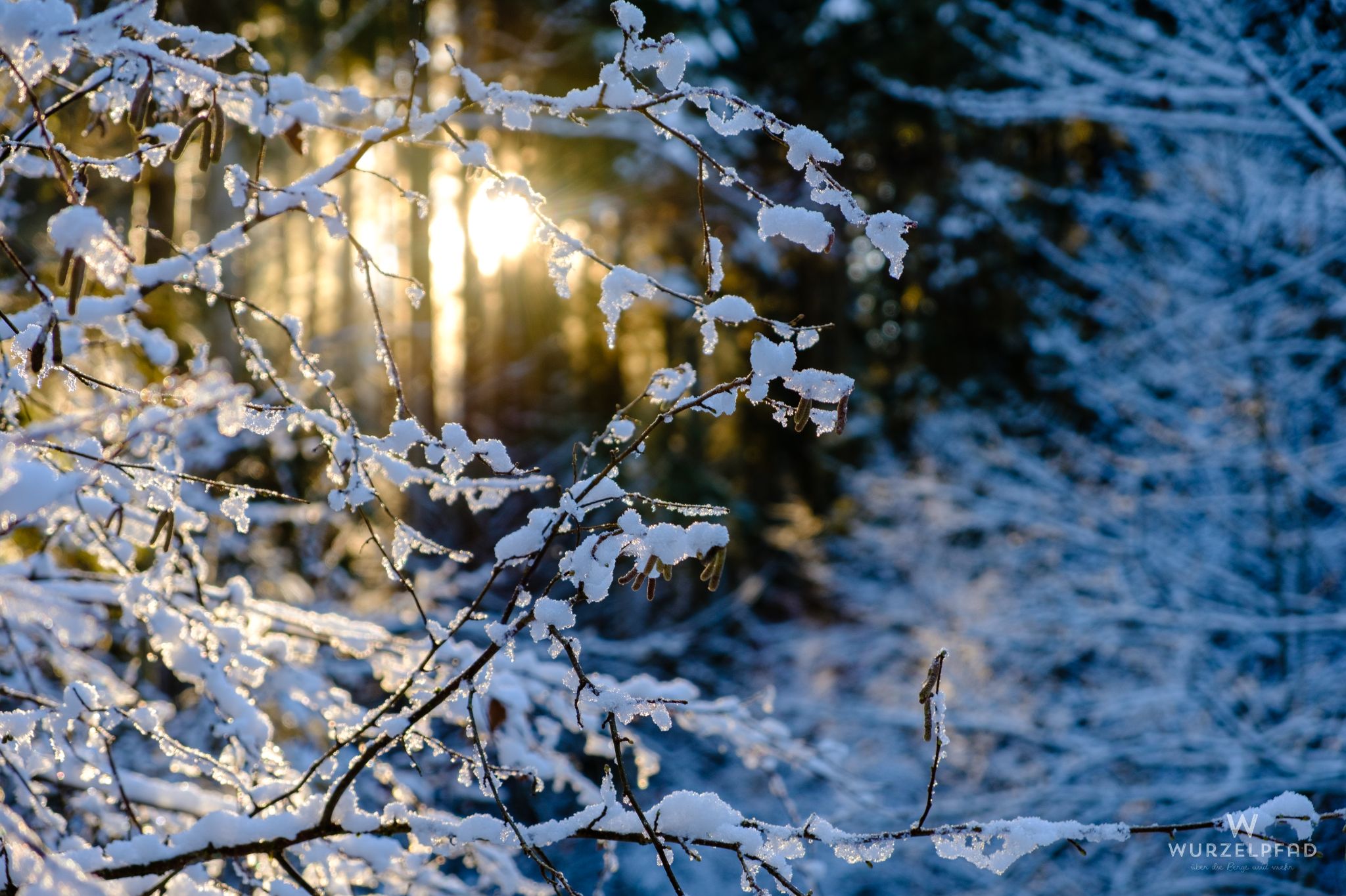 Wintersonne, Taubenberg, Bayern, Deutschland, 2020