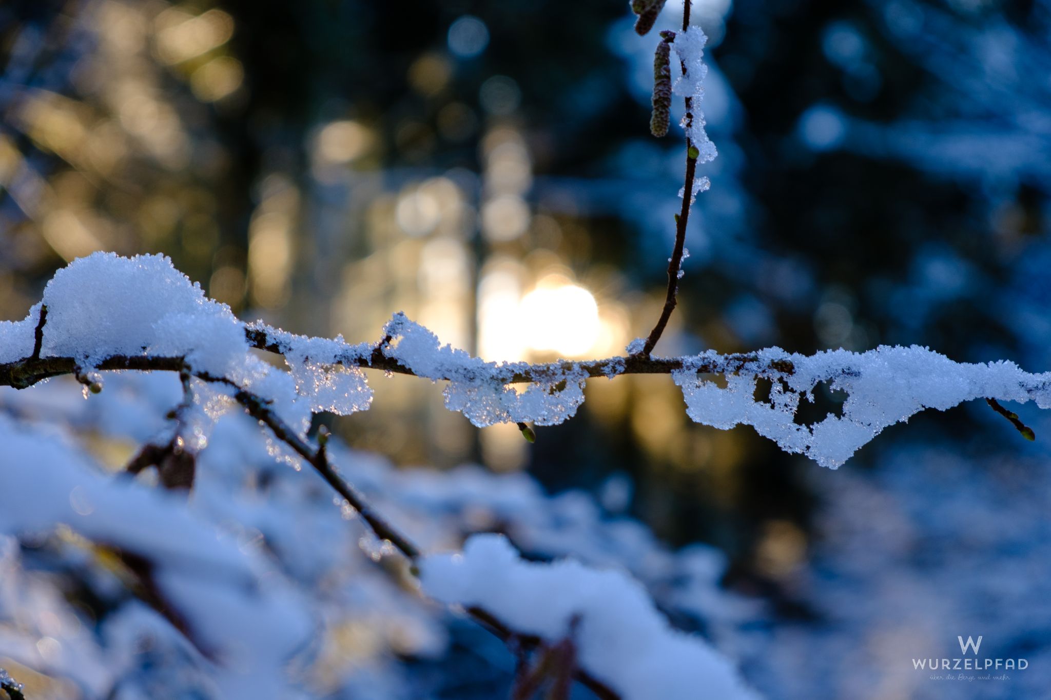 Wintersonne, Farngraben, Bayern, Deutschland, 2020