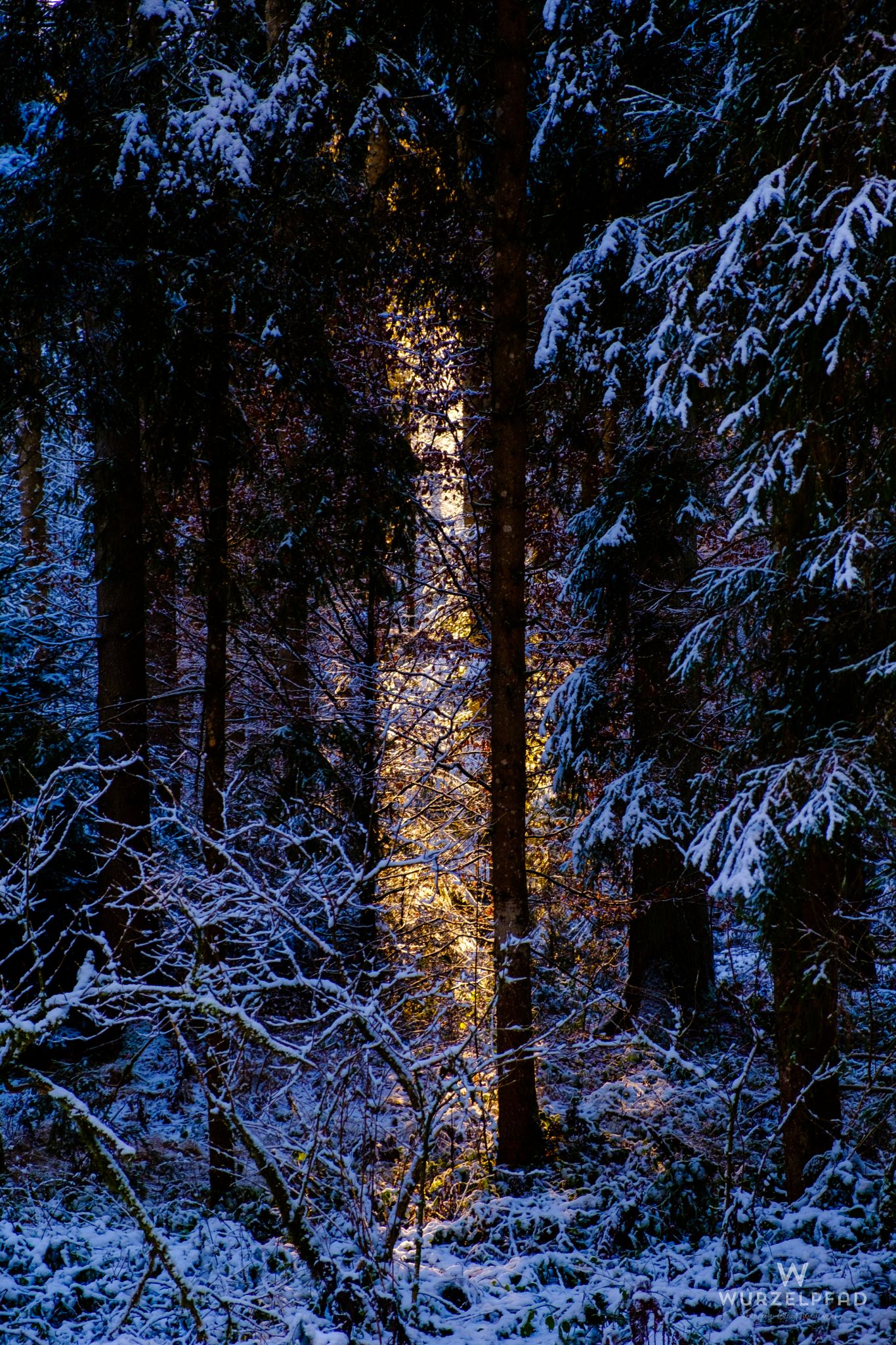 Sonnenstreifen, Farngraben, Bayern, Deutschland, 2020
