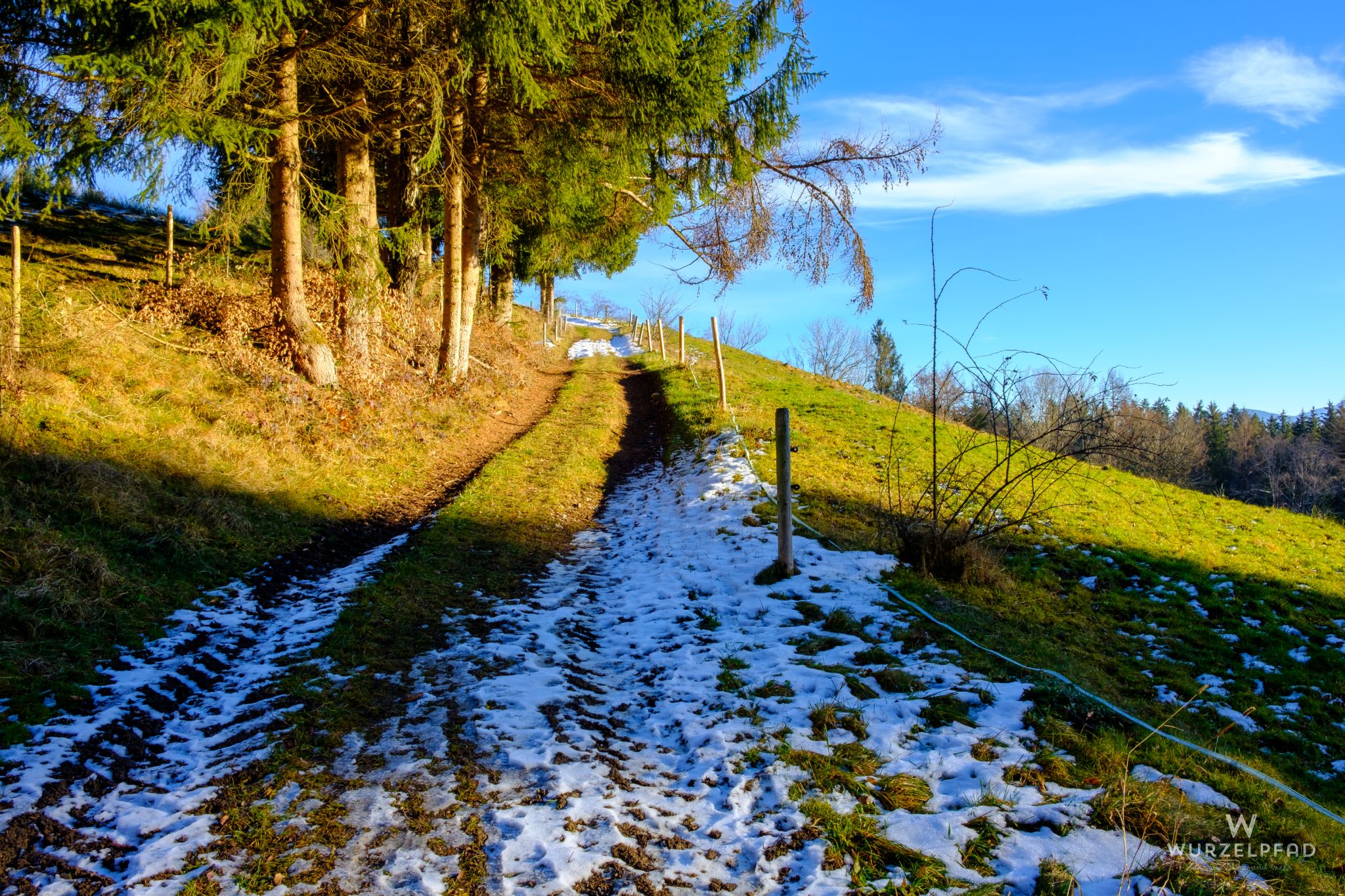 In die Sonne, Fentberg, Bayern, Deutschland, 2020