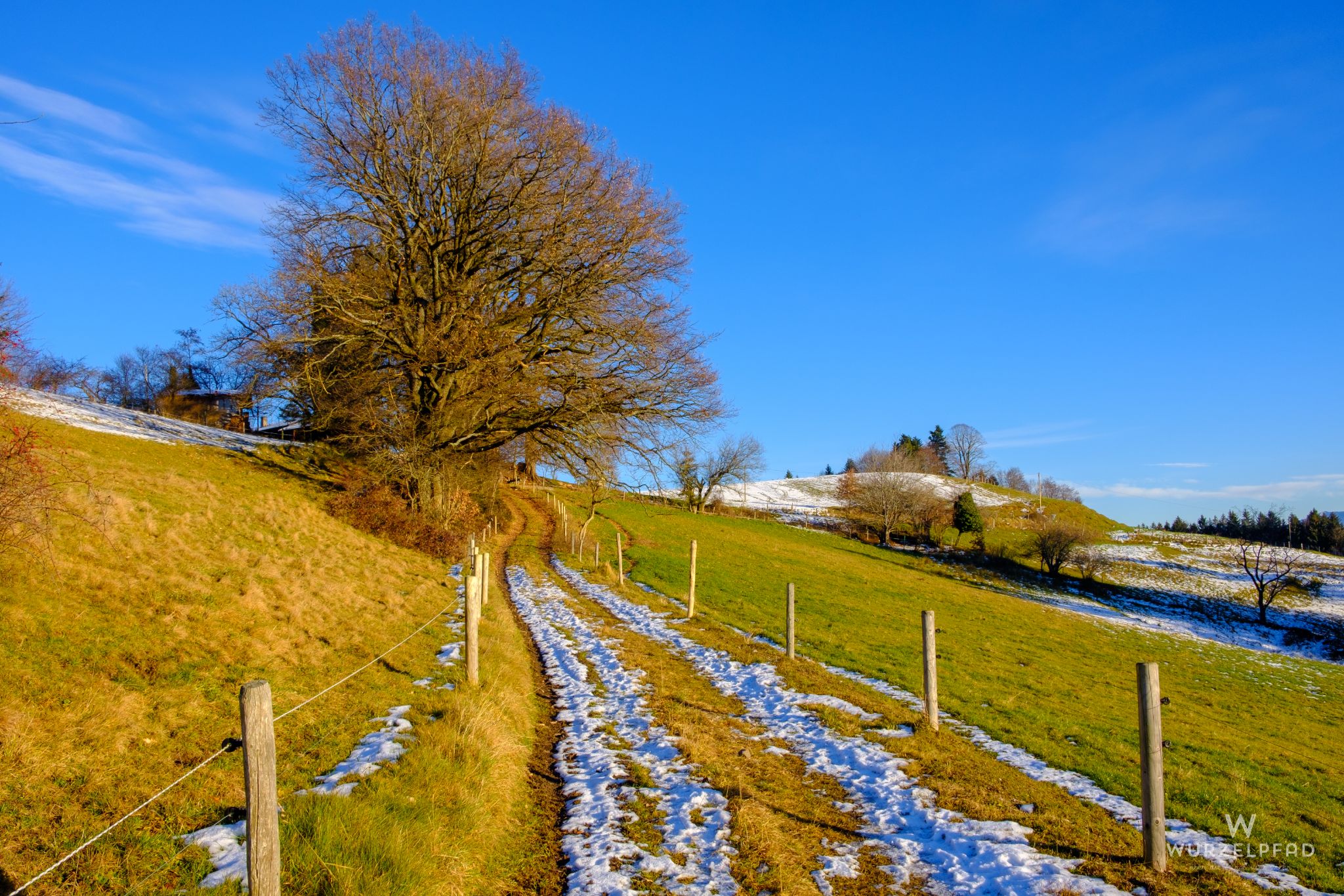 Winterlicht, Fentberg, Bayern, Deutschland, 2020
