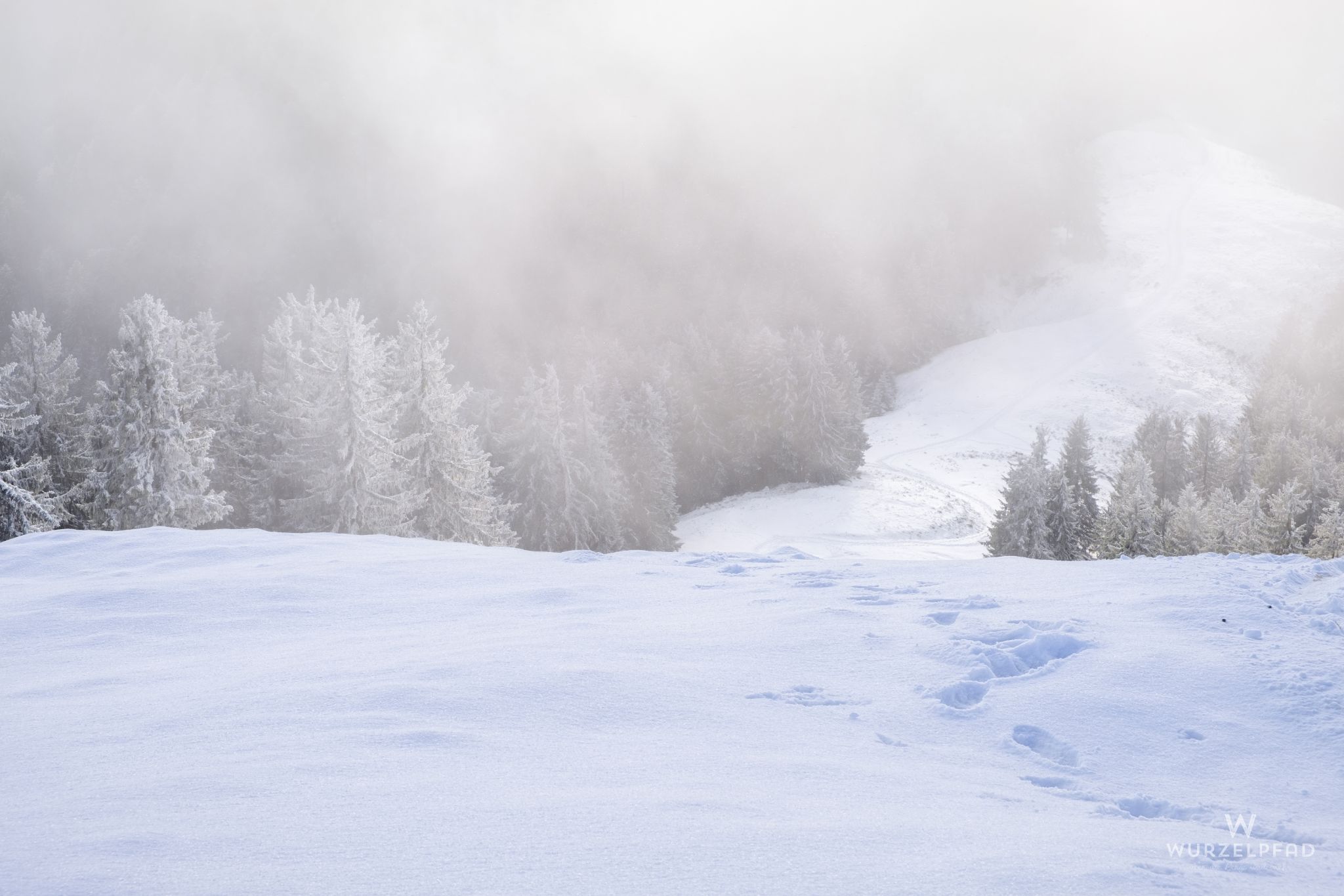 Noch ist die Sonne nicht da