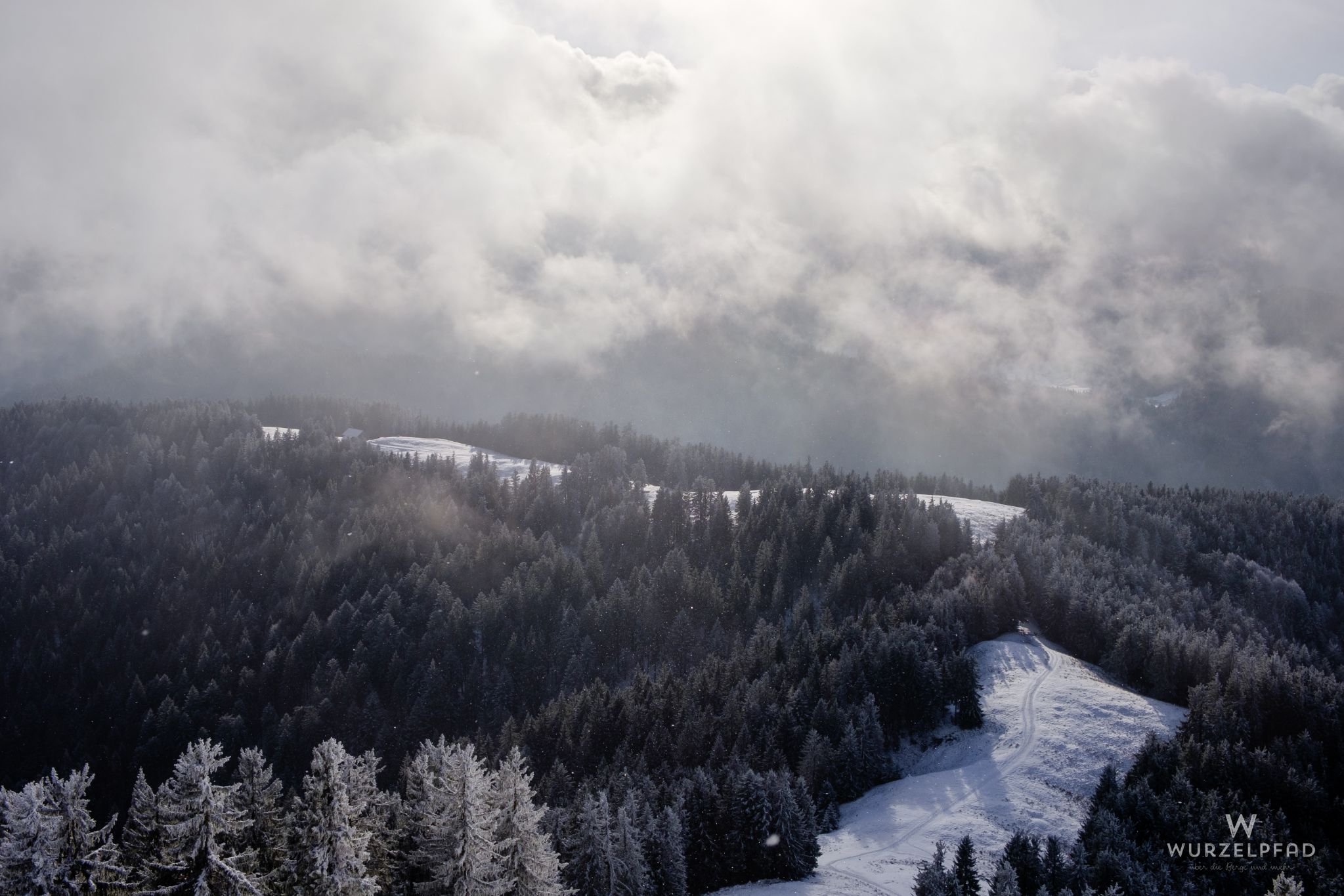 Ein paar Schneeflocken
