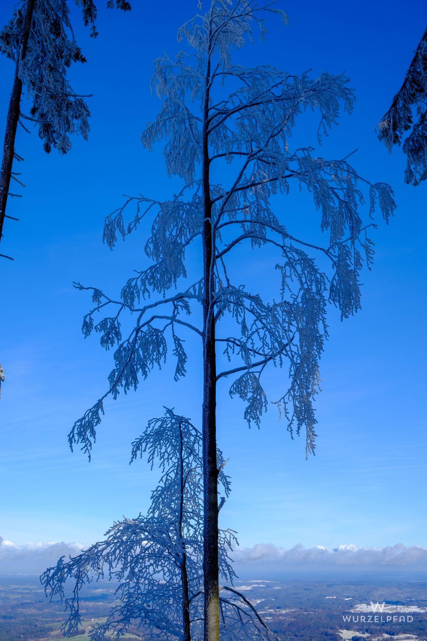 Corinth lässt grüßen