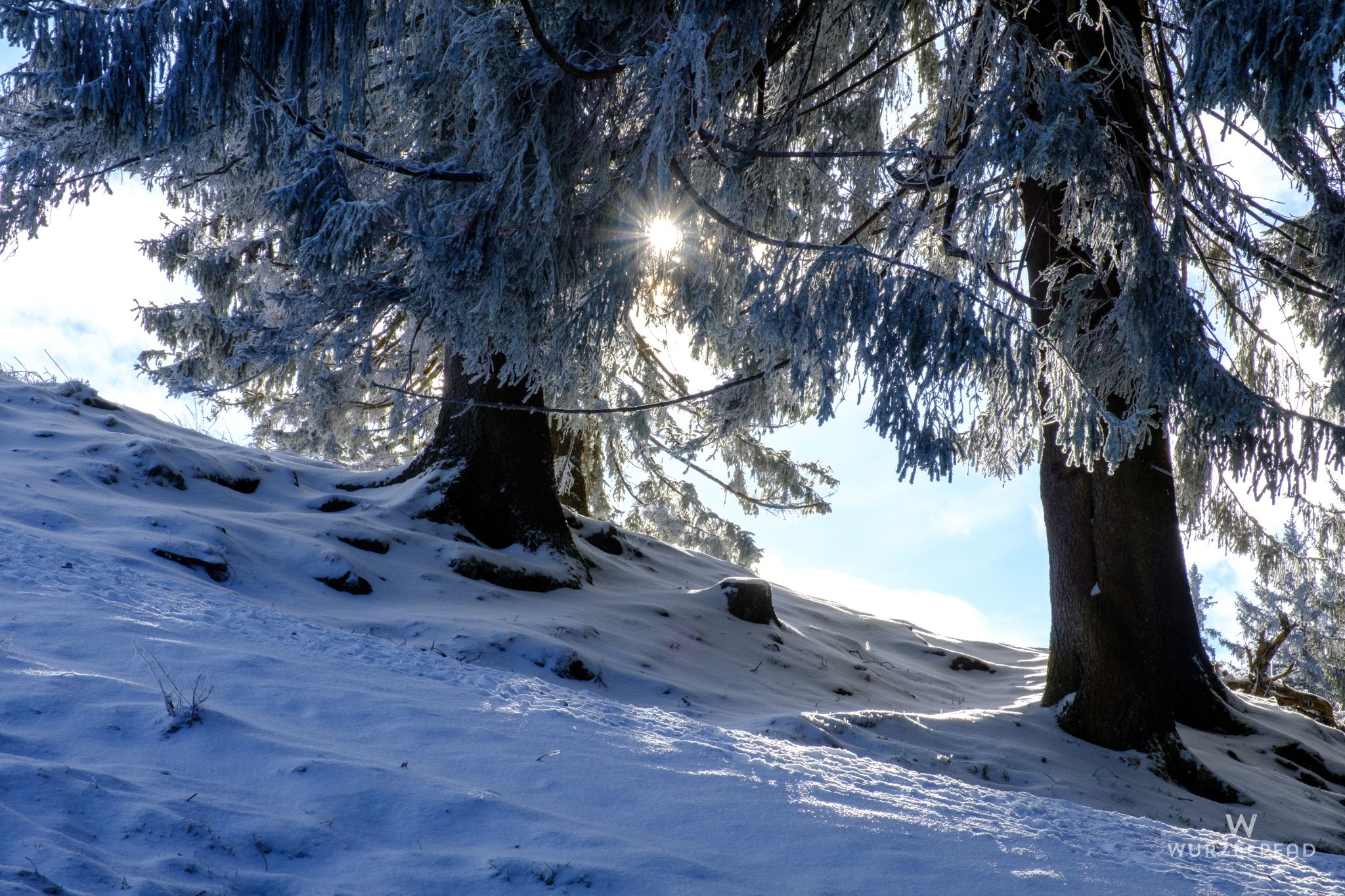 Winterliche Mittagssonne