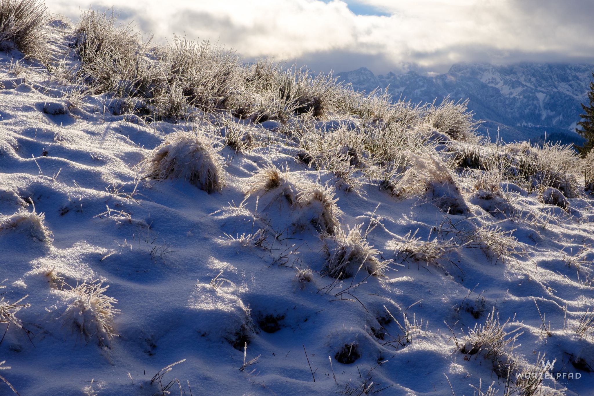Noch kann man das Gras sehen