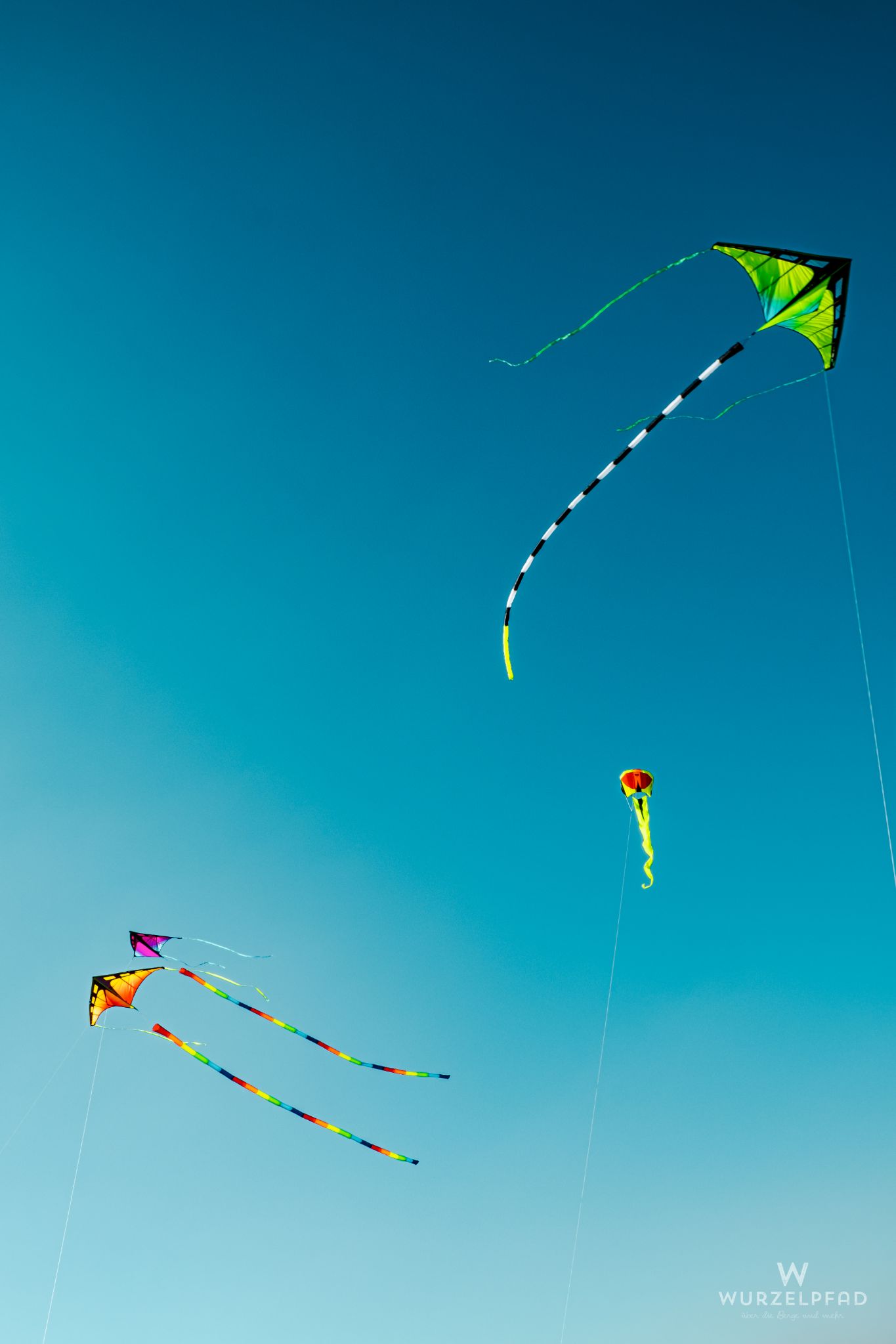 Frühlingsvergnügen