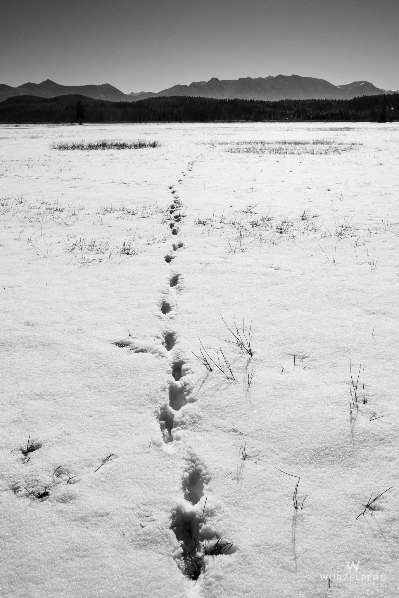 Spuren im Schnee