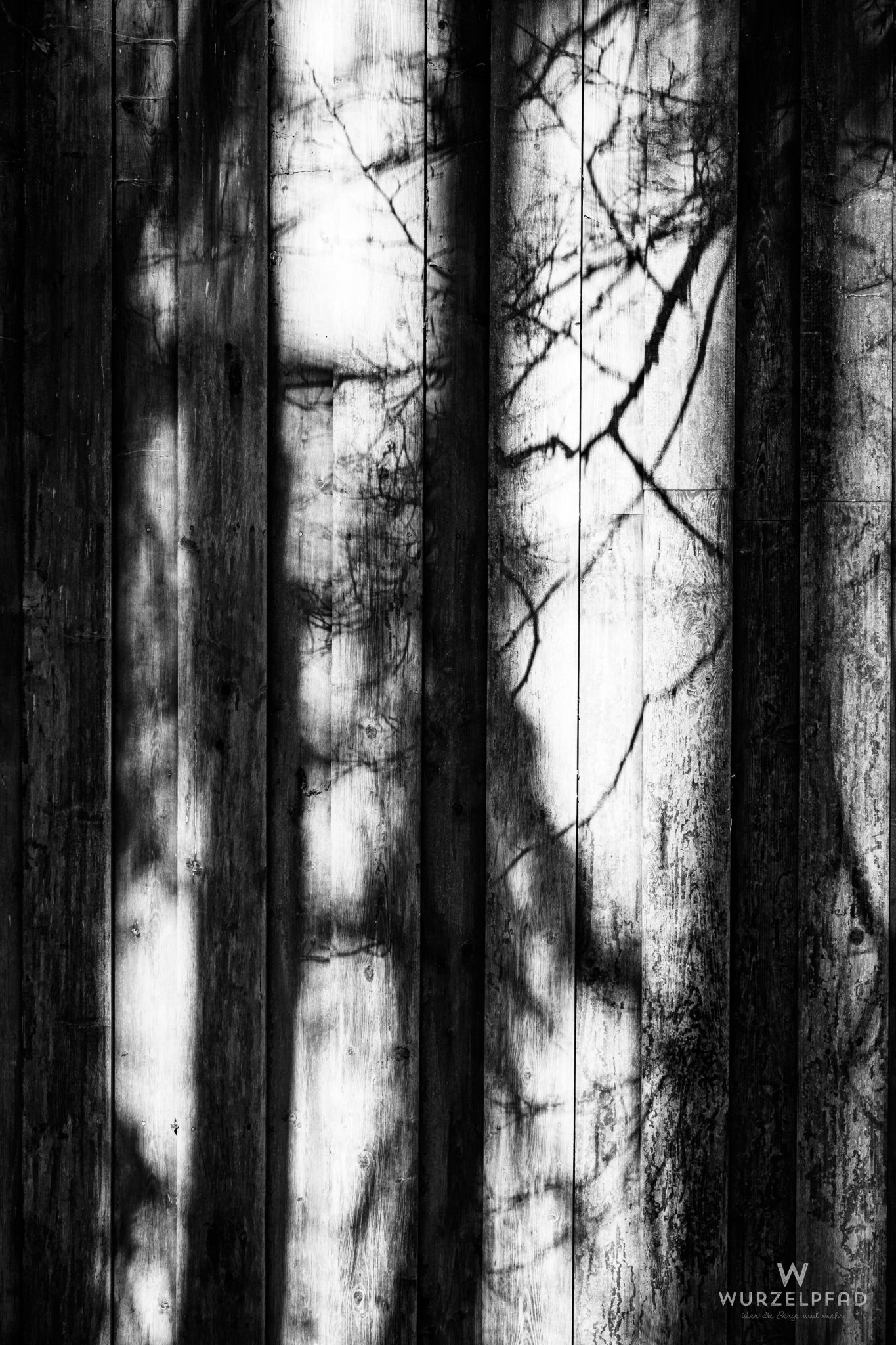 Schatten an Holzwand