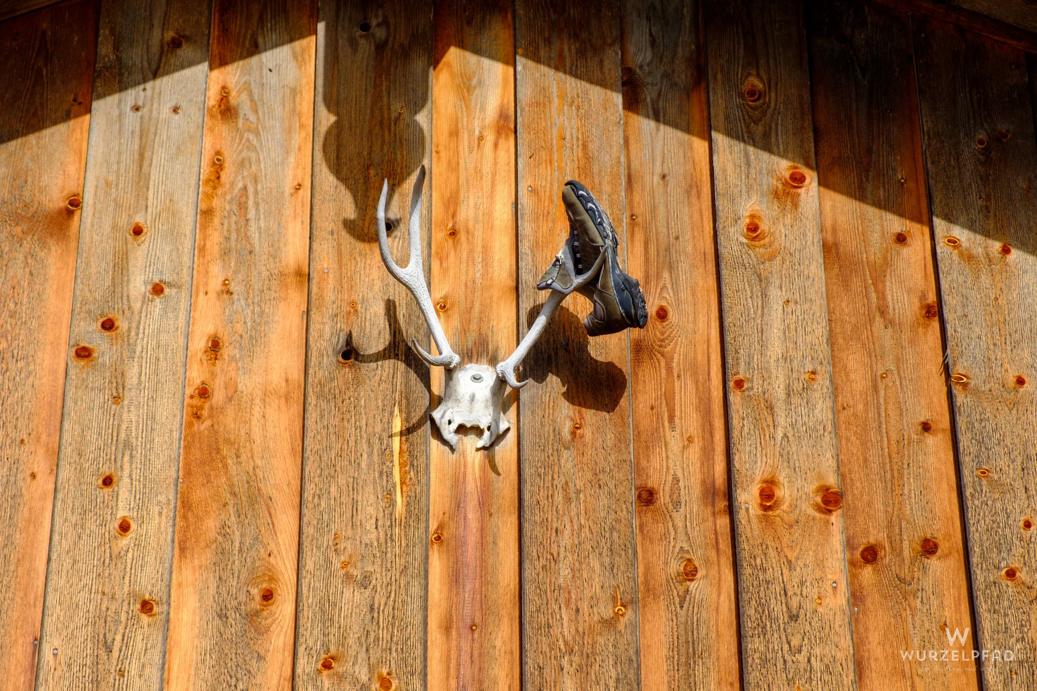 Im Eifer des Gefechts